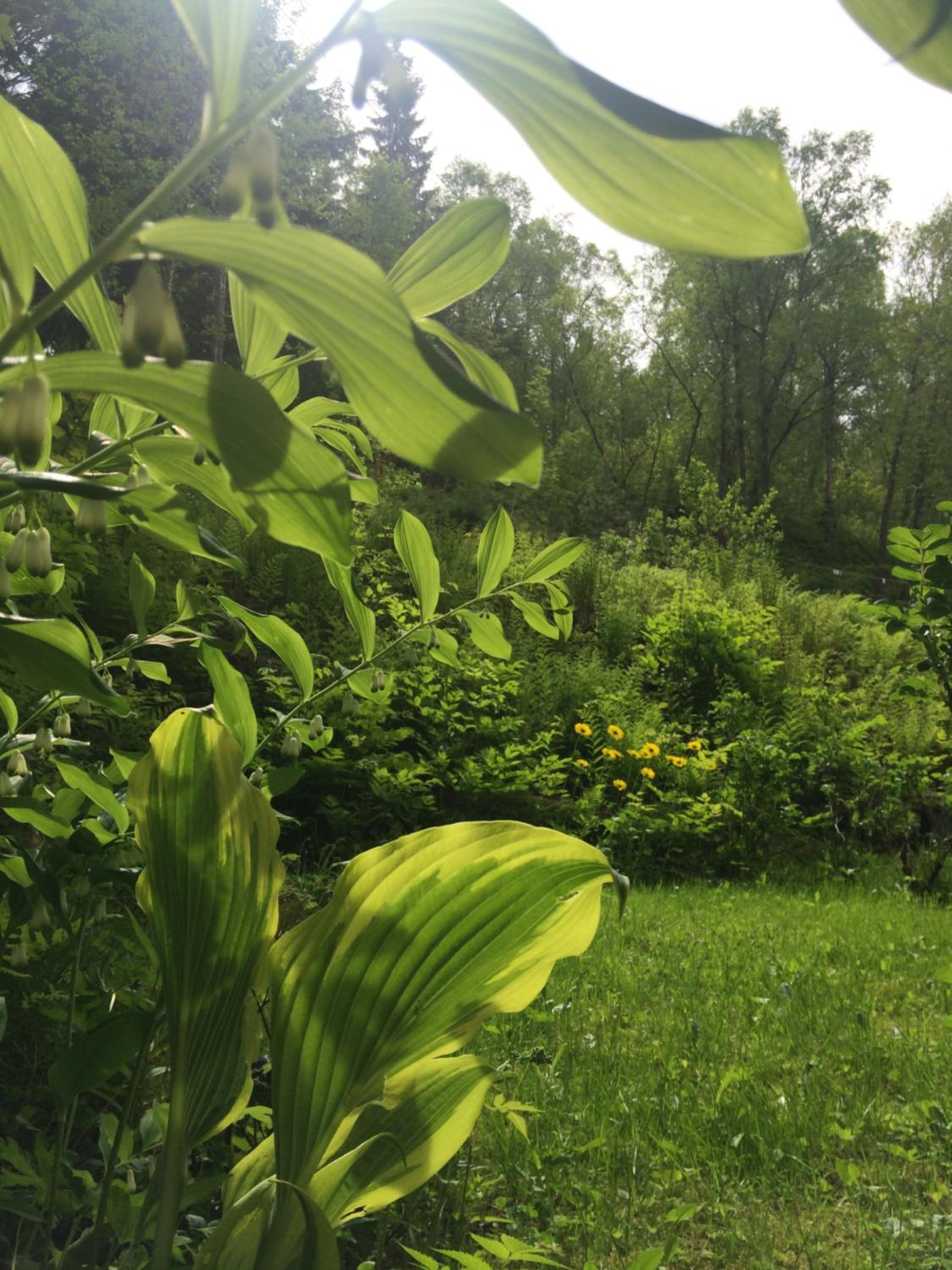 Photo 43