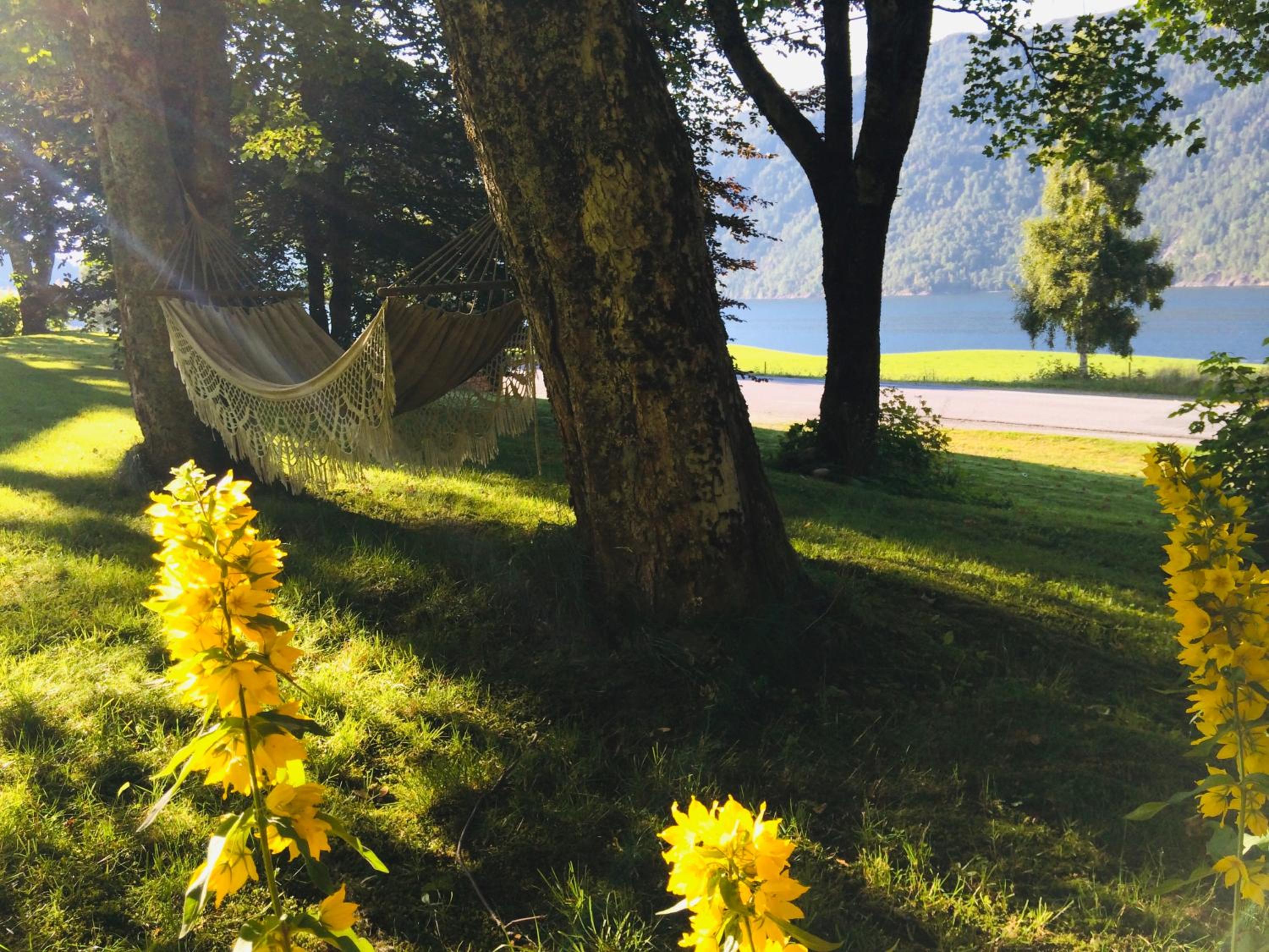Photo 45