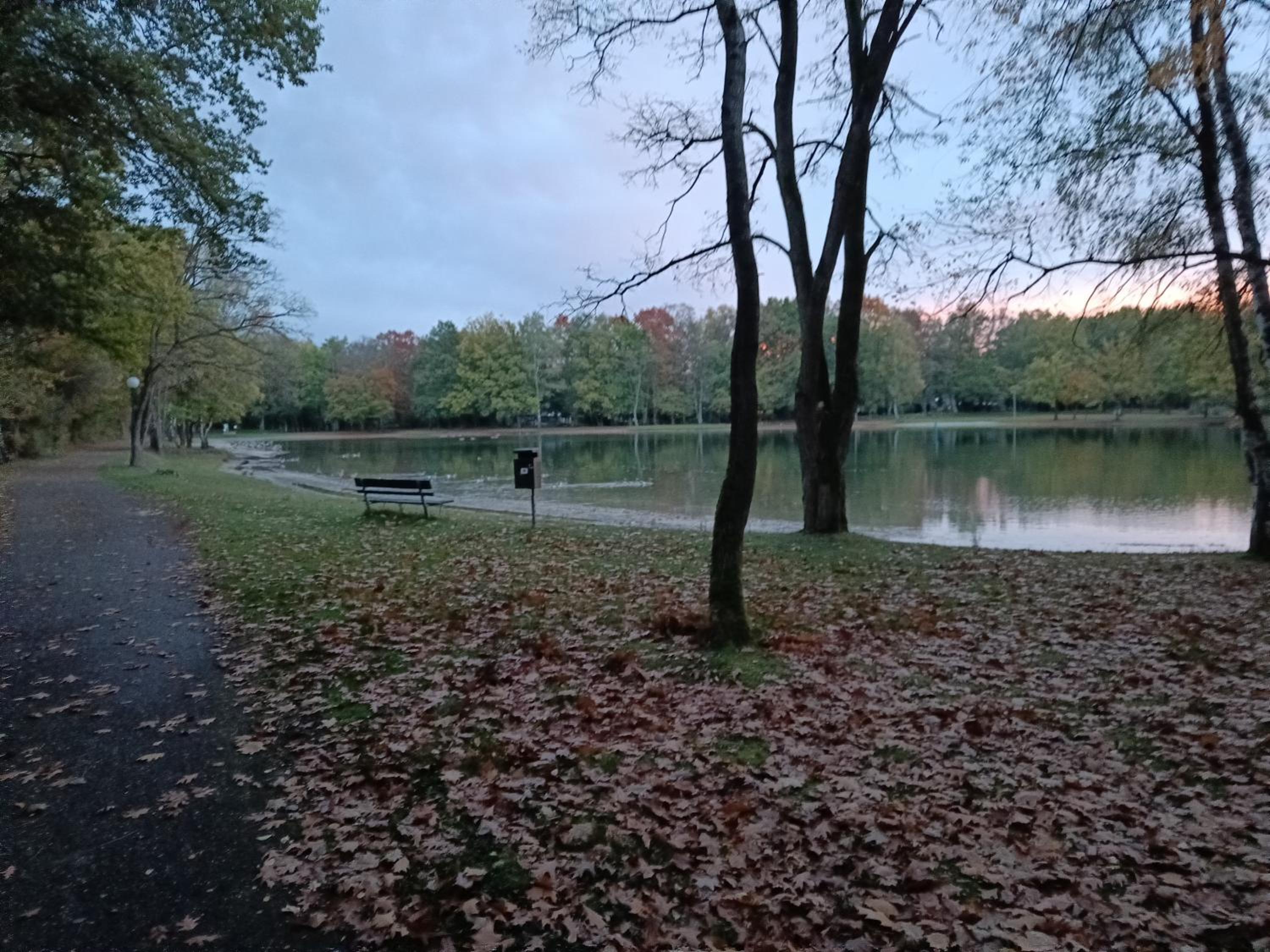 Lauwie 14