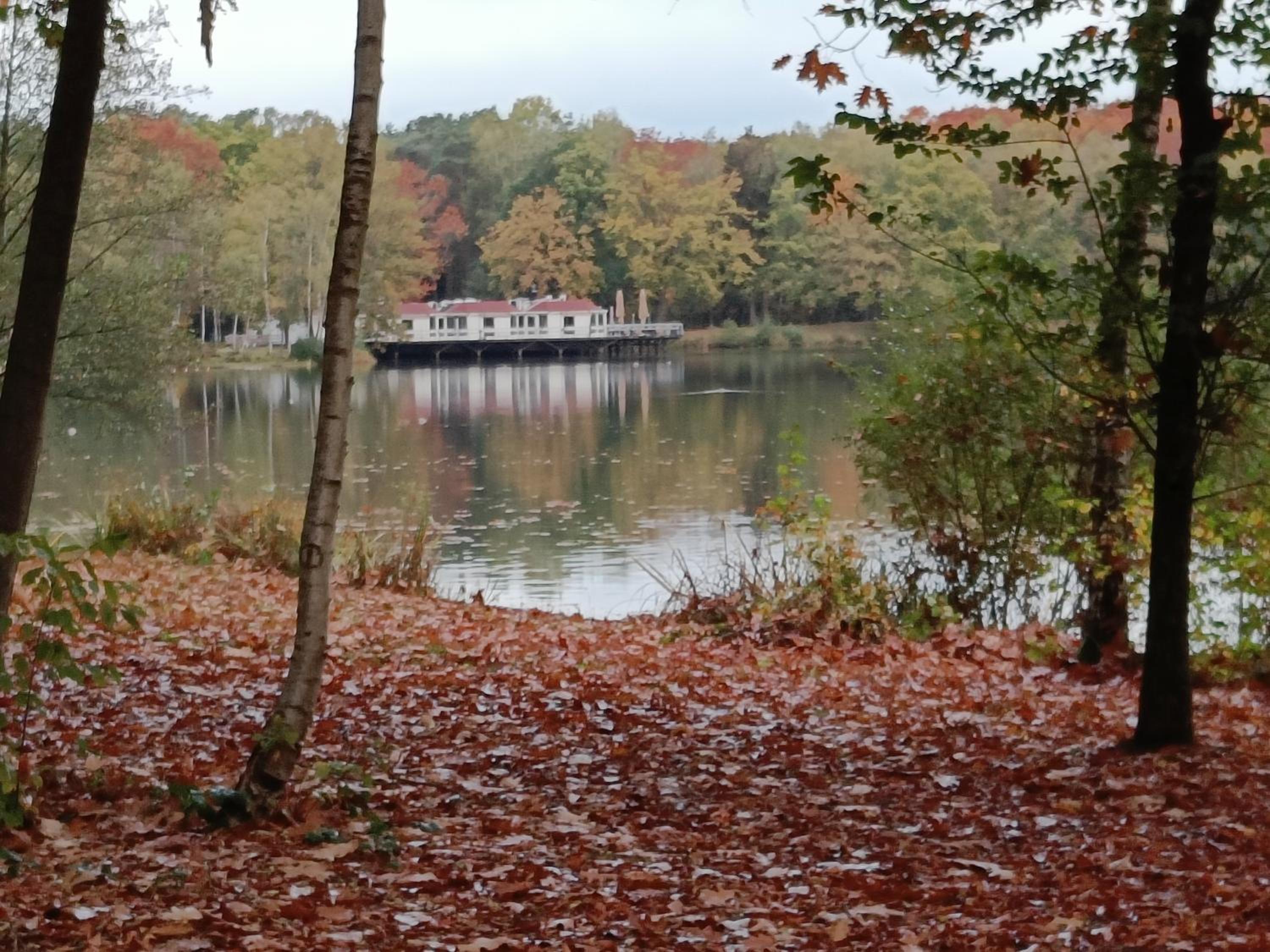 Lauwie 14