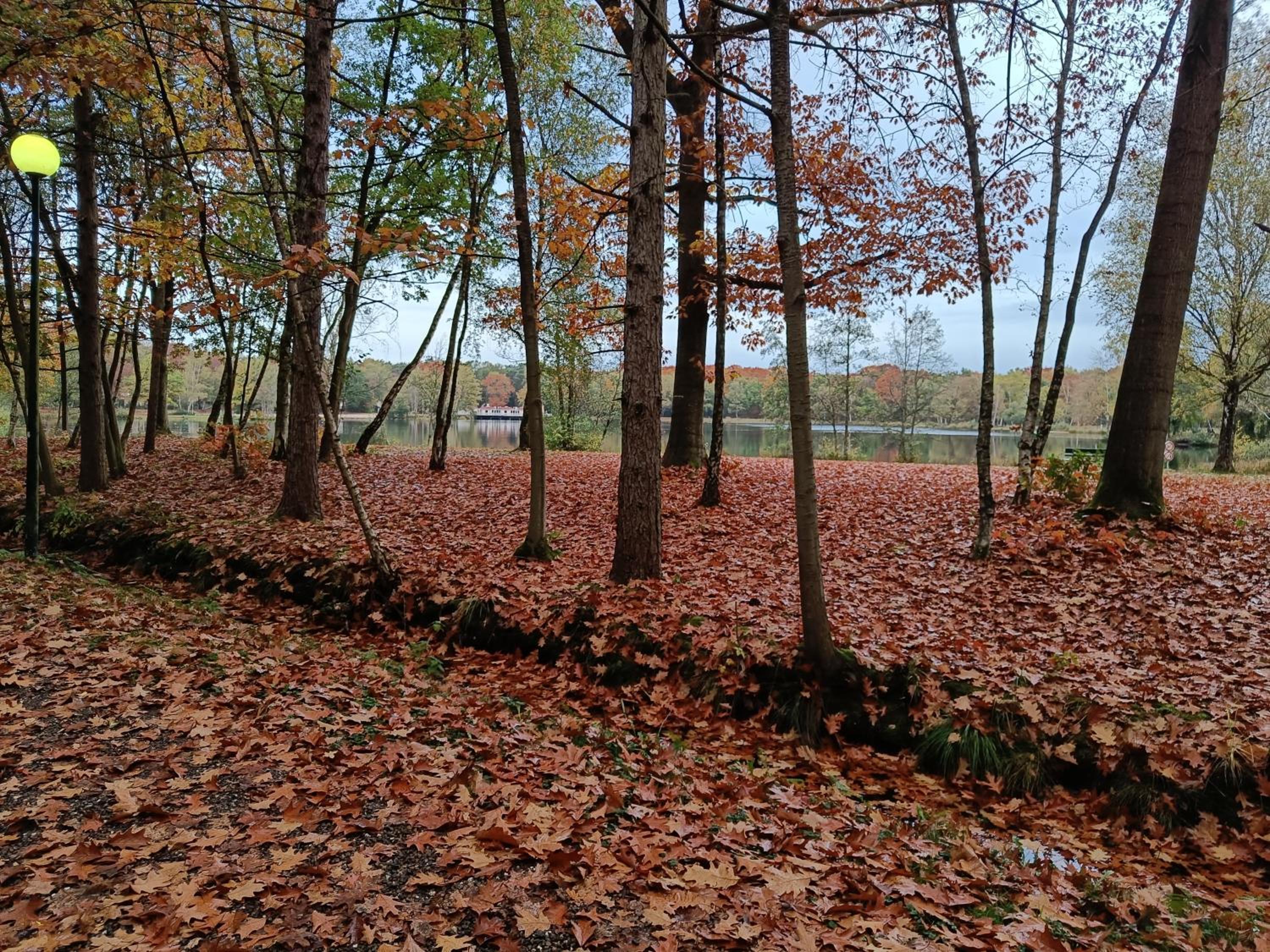 Lauwie 14