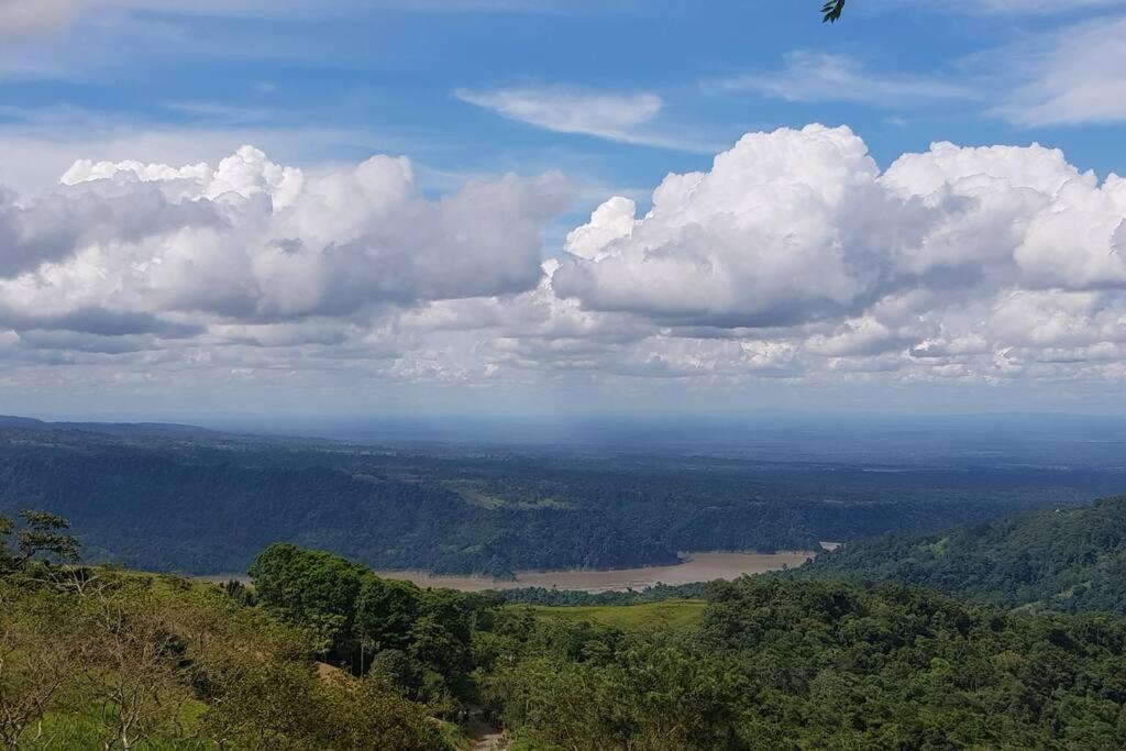 Alto Luciérnaga