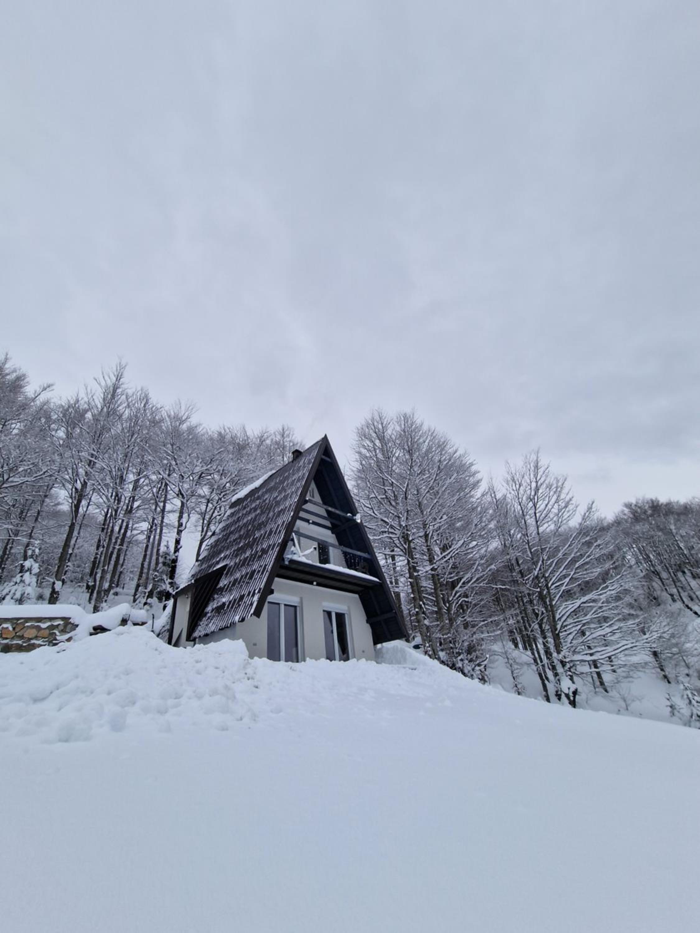 Weekend house NEST Bjelašnica