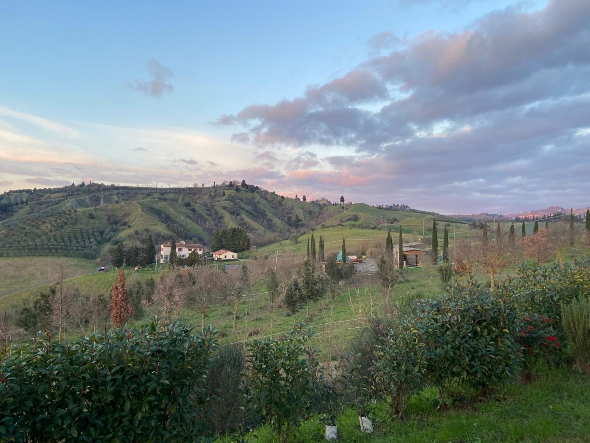 Agriturismo Poggio ai Legni view 4