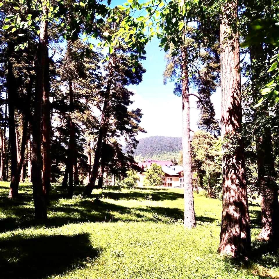 Park residence