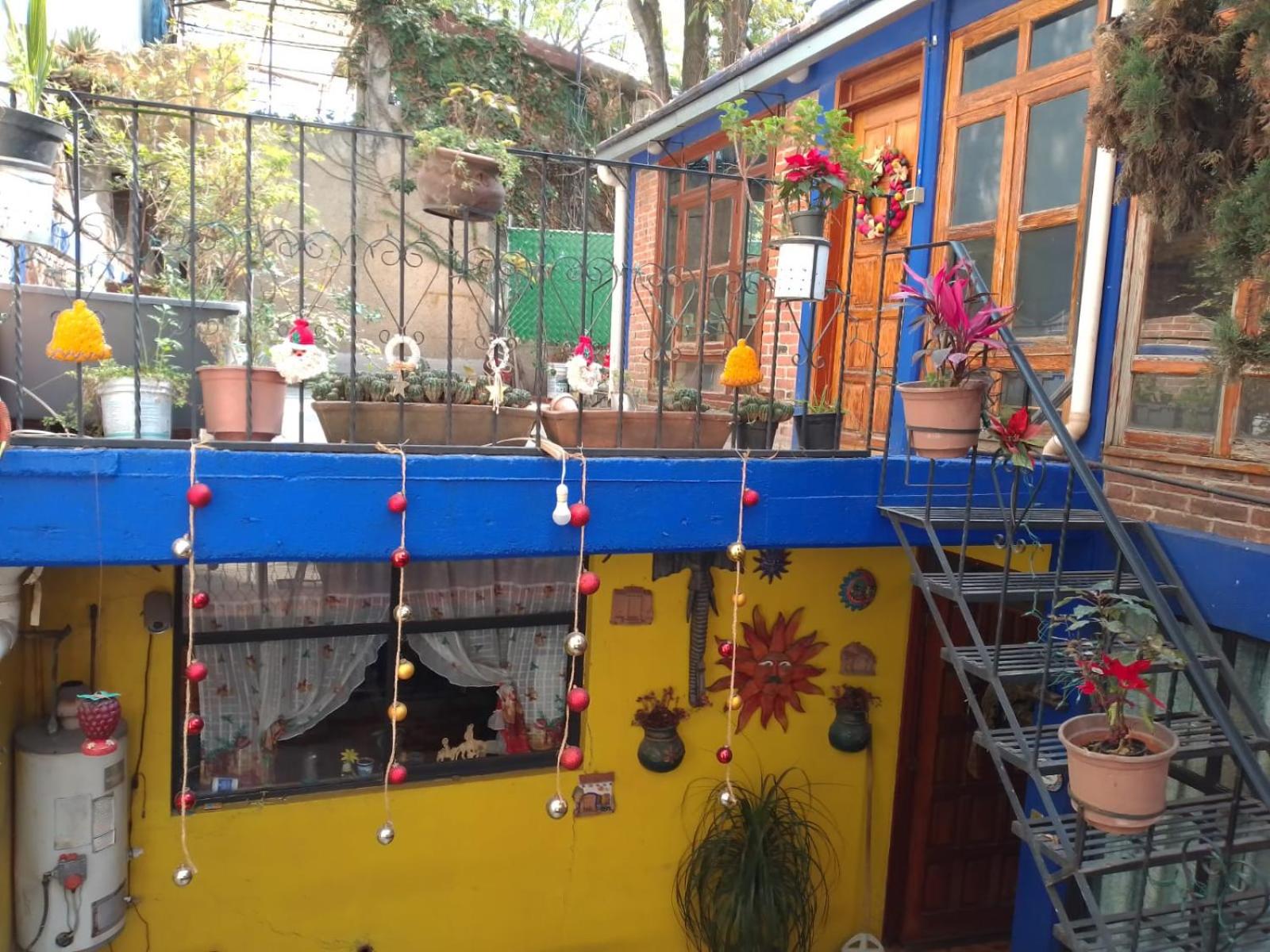 COYOACAN DEPARTAMENTO TIPO COLONIAL view 5
