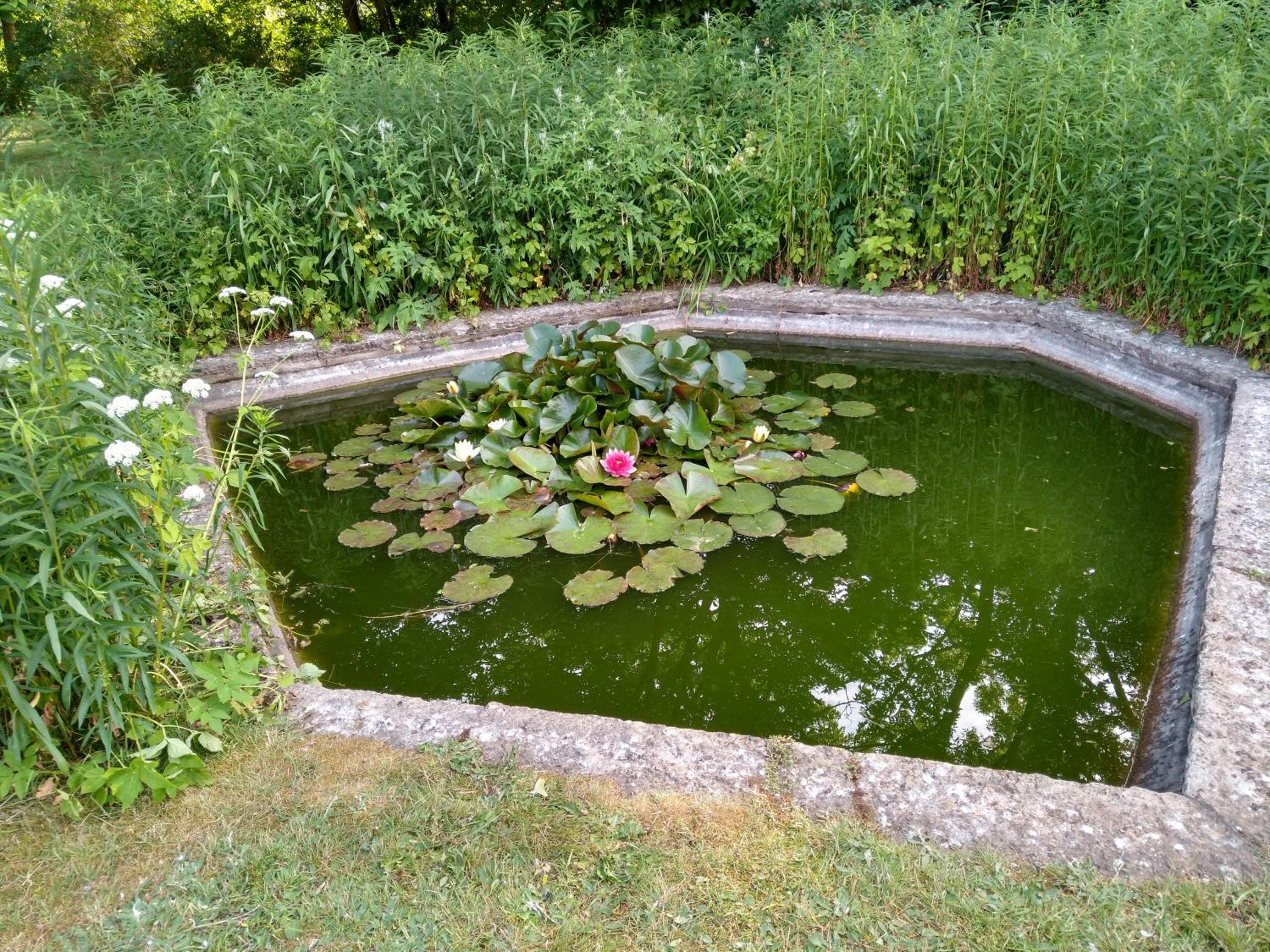 Photo 31