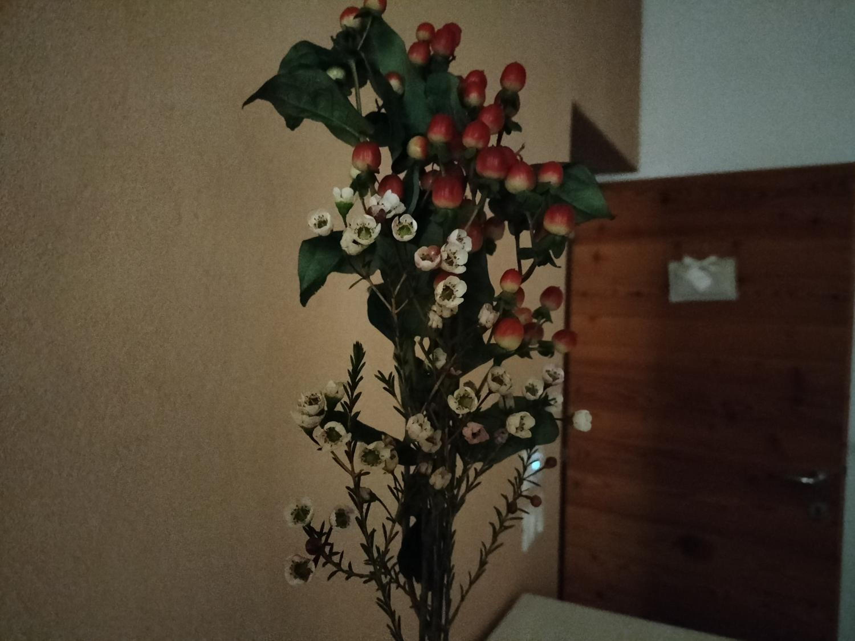 B&B Terre Di Bea