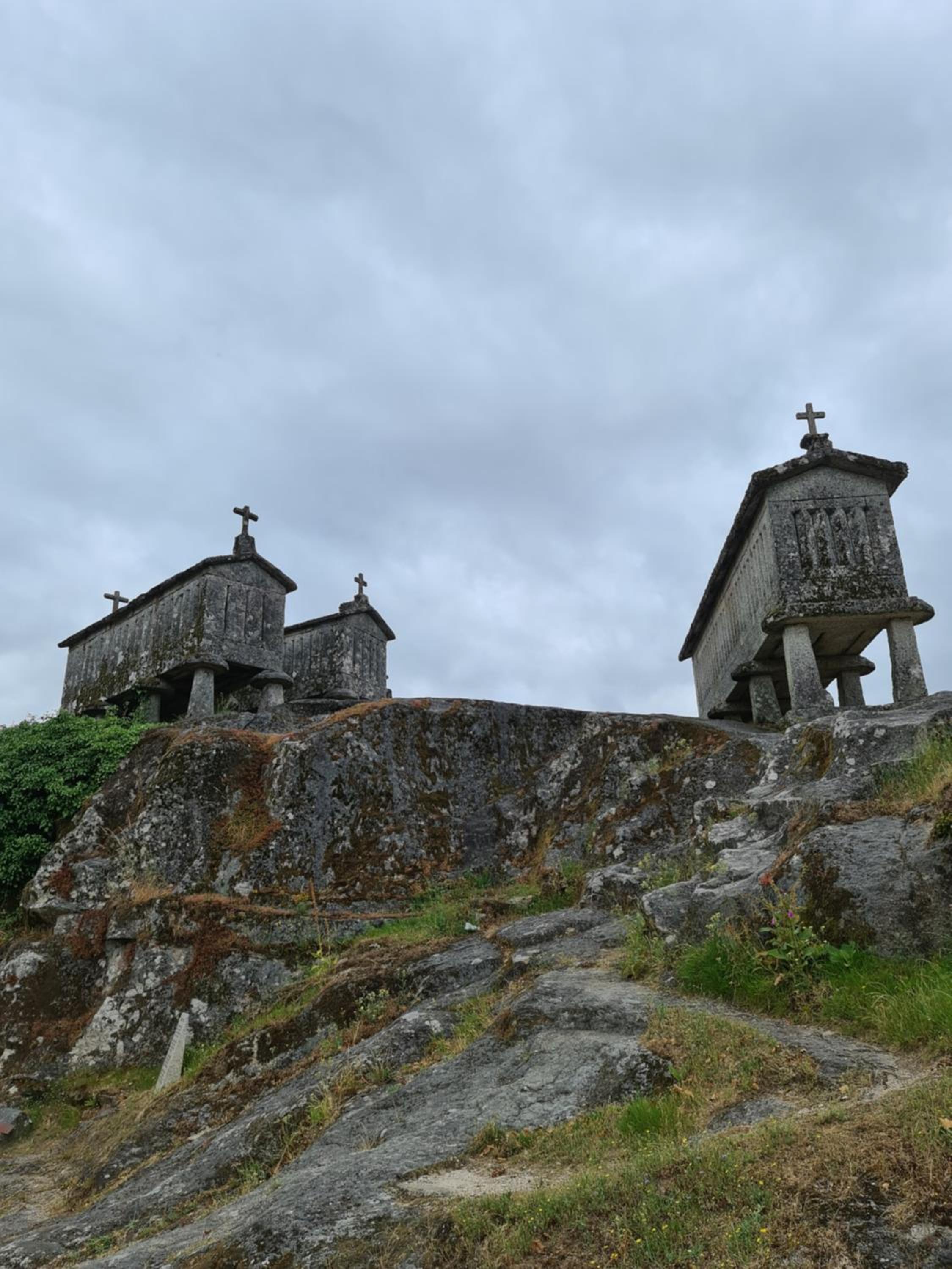 Photo 42