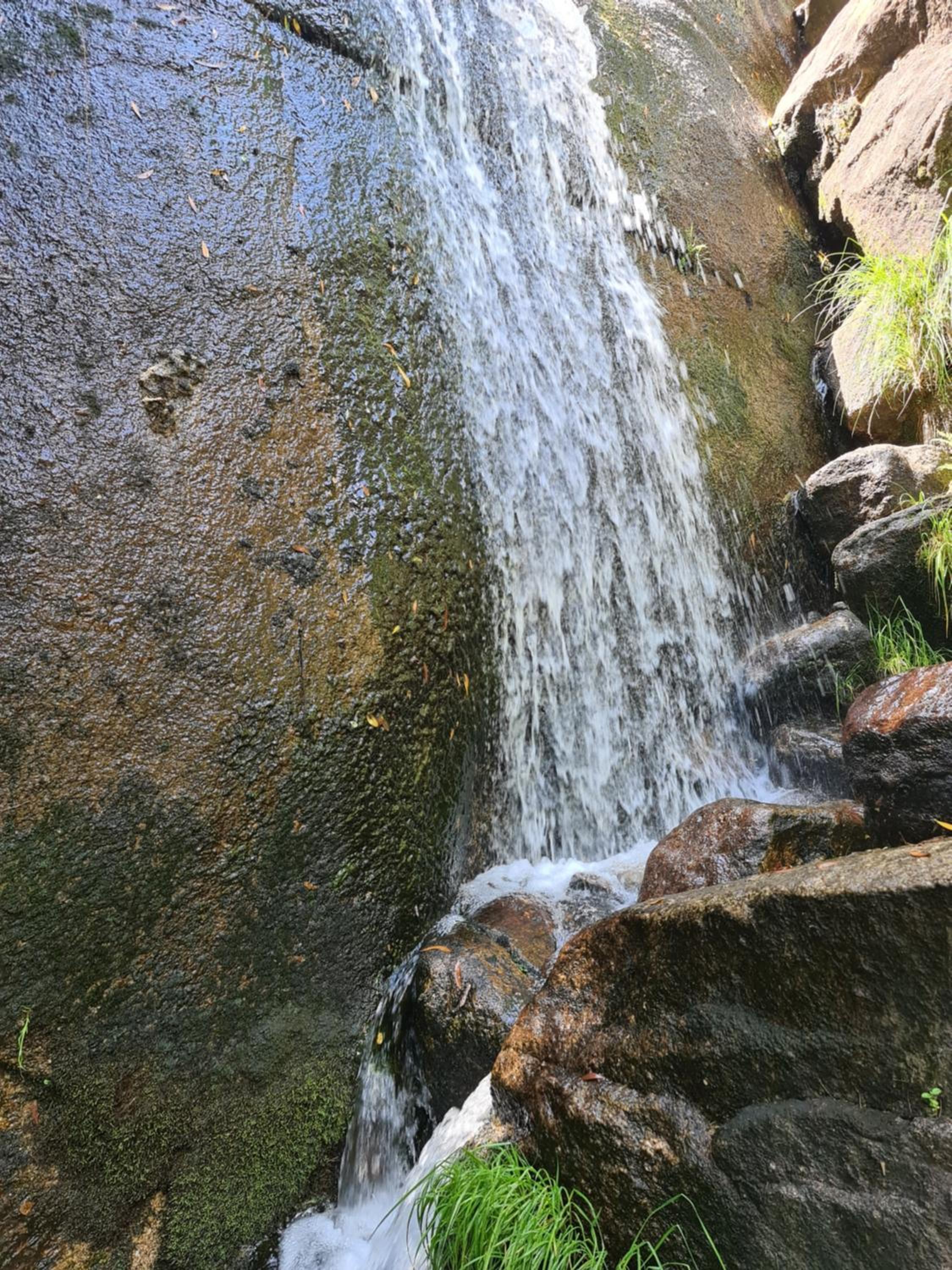 Photo 36