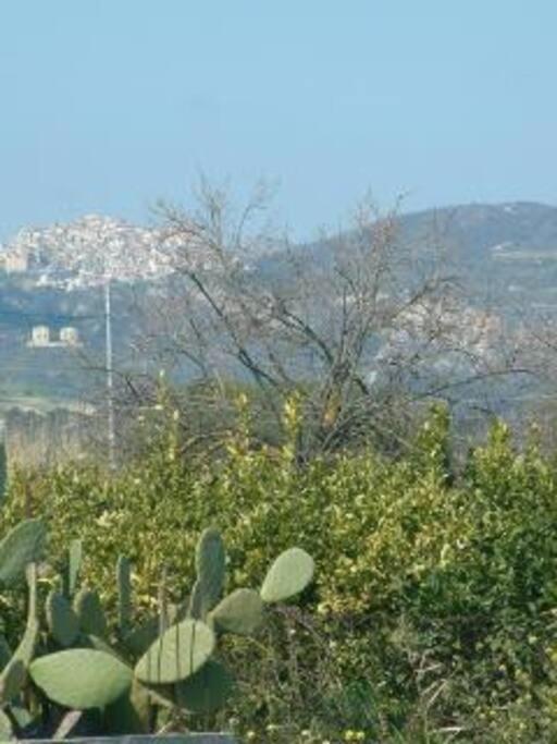 Stignano Mare, near Caulonia, Calabria, Italy view 3