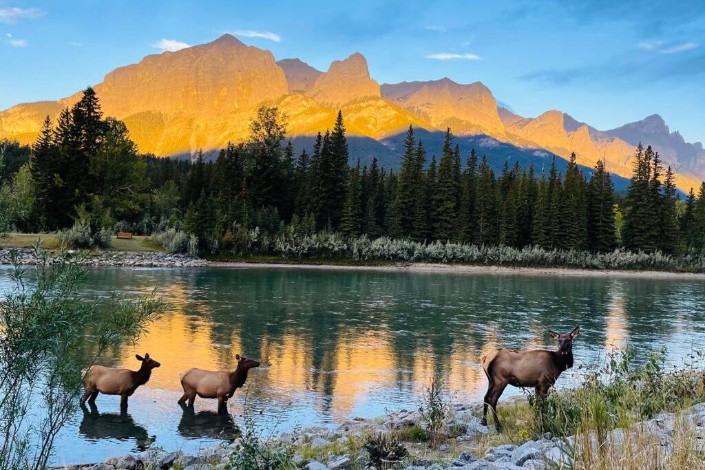 unit #301 Mountain view 2BR in Canmore Down town