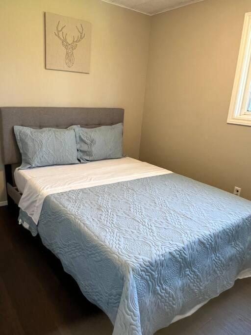 Family friendly cottage ☆walking distance to beach