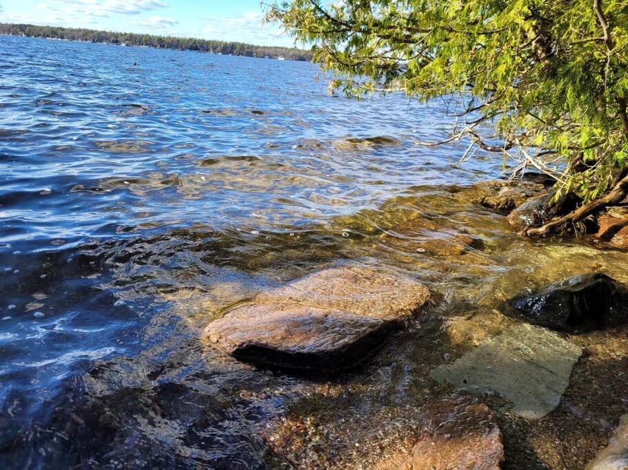 Rustic Pines Waterfront Cottage *CLEAR WATER*