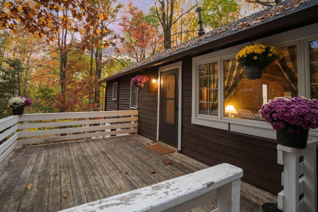 Cozy Bear-Themed Mountain Cabin, Relaxing Hot Tub