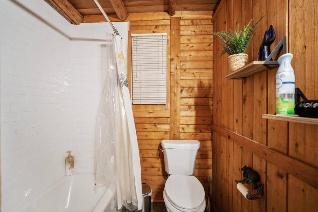Cozy Bear-Themed Mountain Cabin, Relaxing Hot Tub