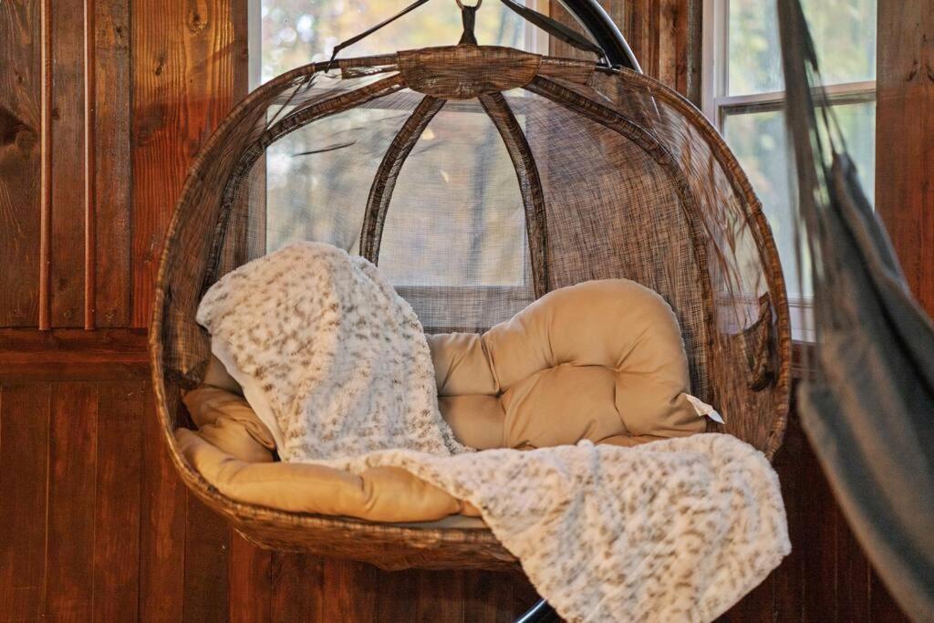 Cozy Bear-Themed Mountain Cabin, Relaxing Hot Tub