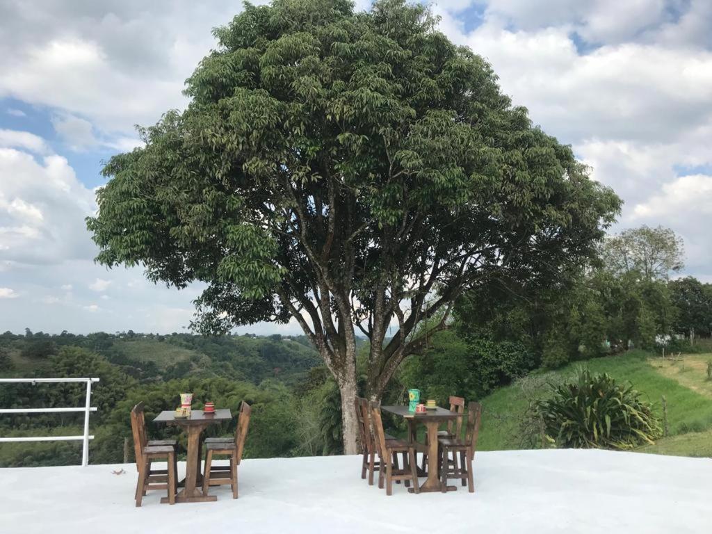 La Bella Vista