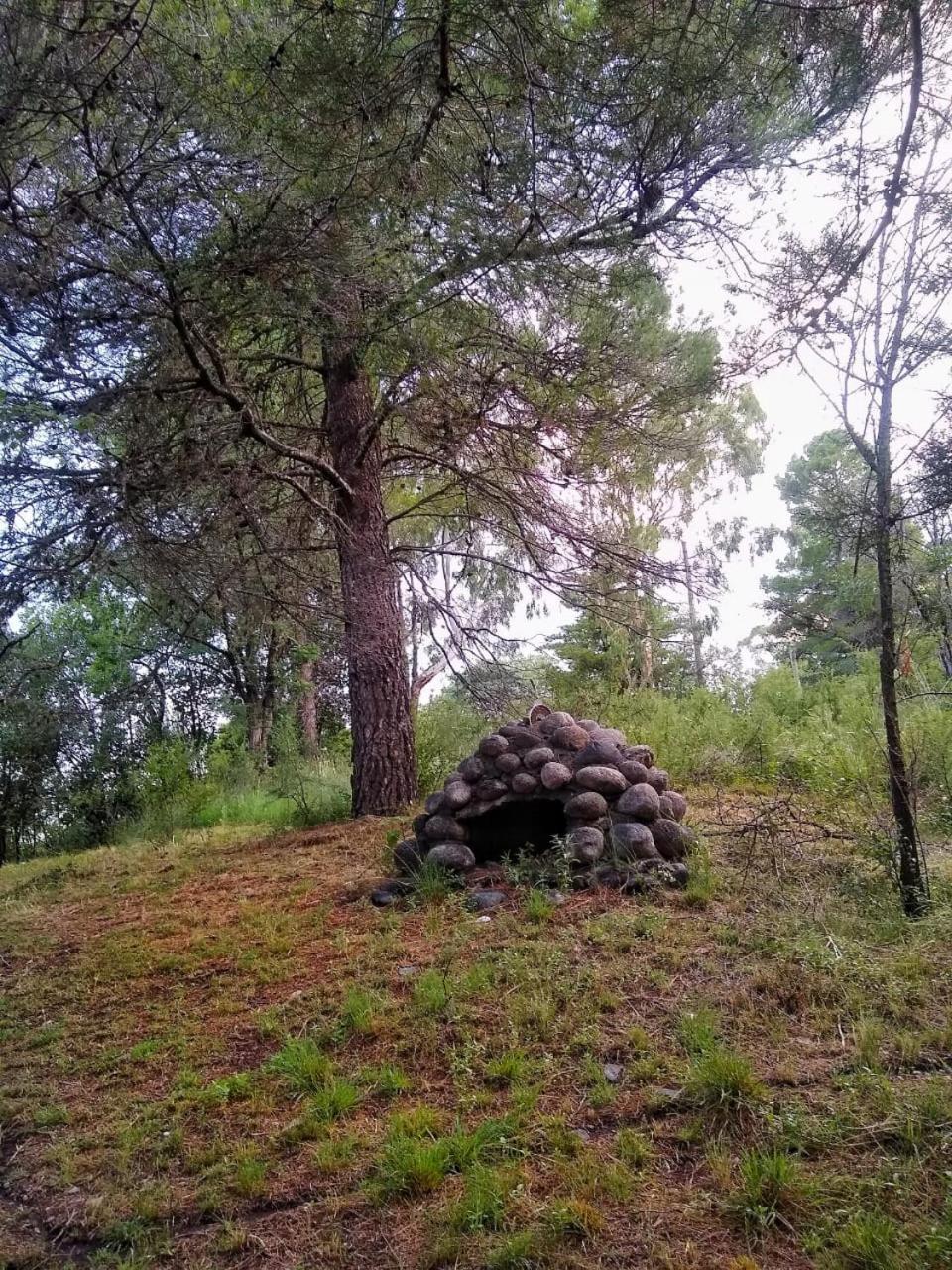 Los Gimenitos
