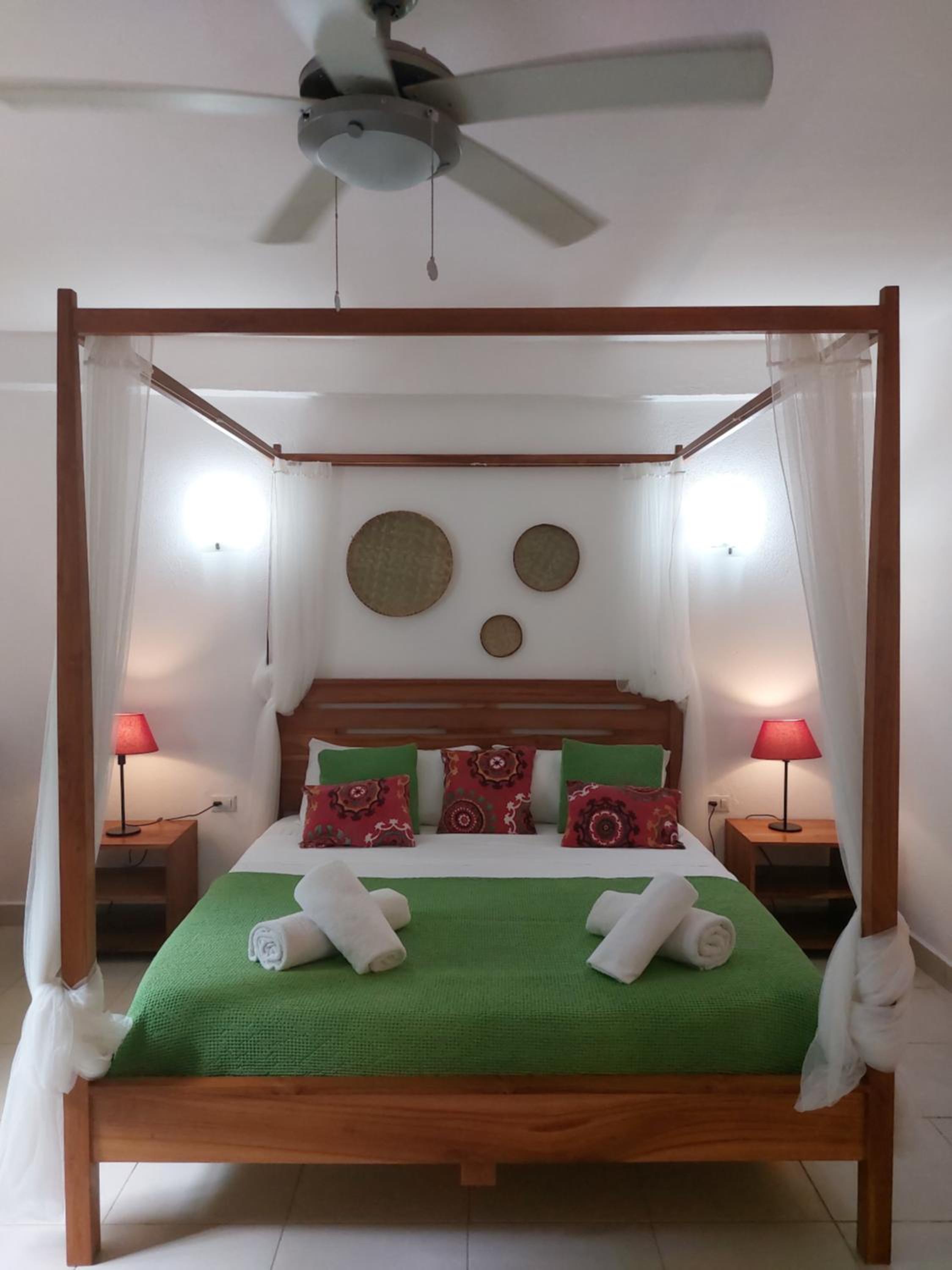 Casa Mapache