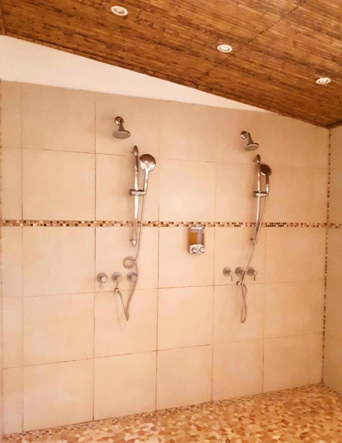 Casa Mapache