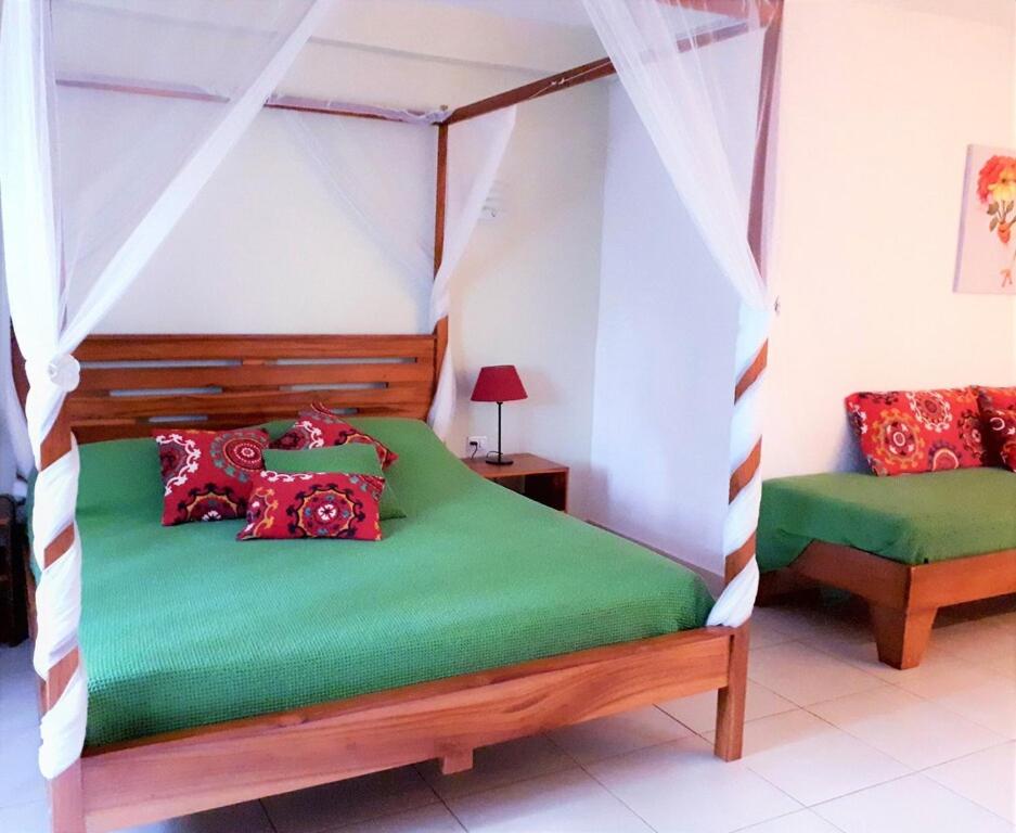 Casa Mapache