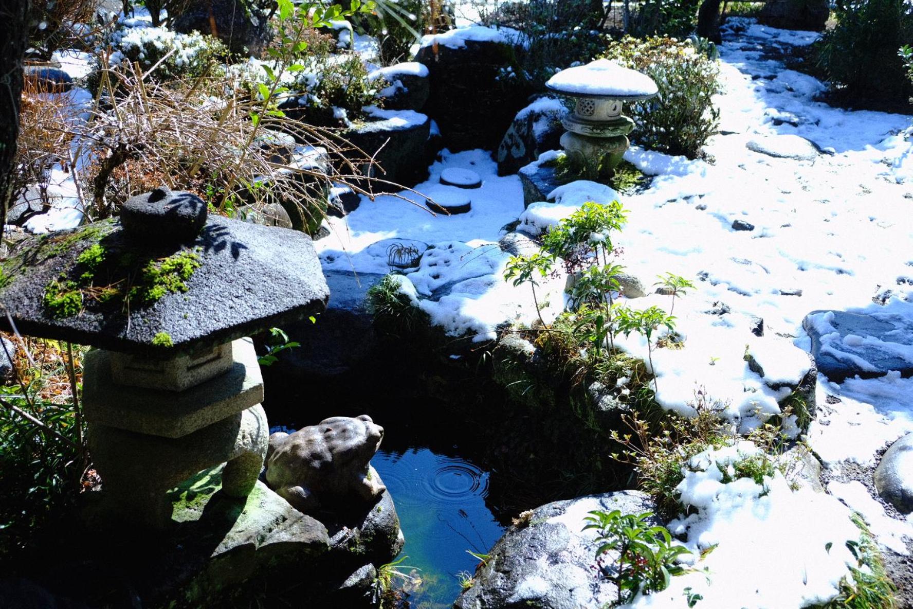 Photo 45