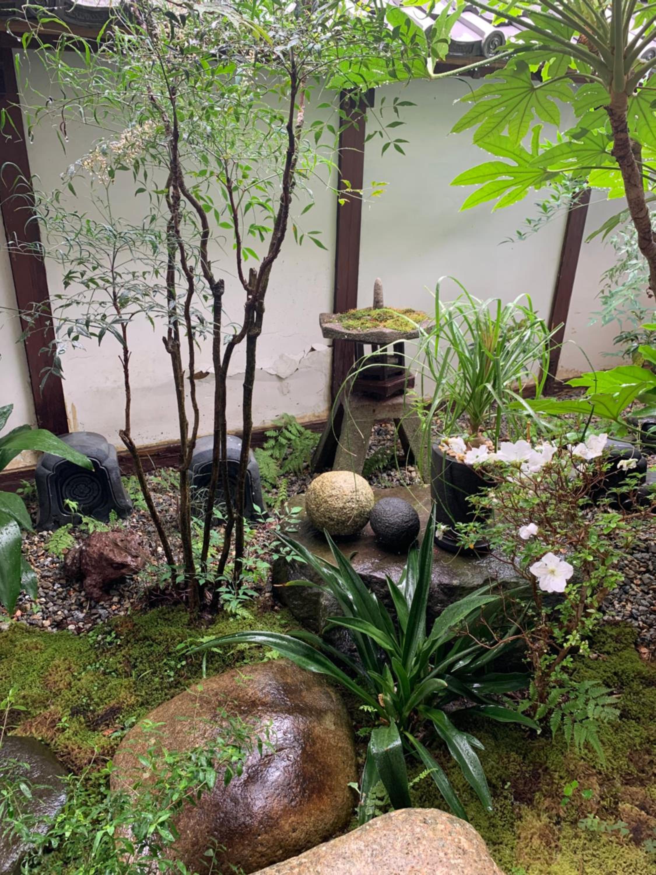Photo 46