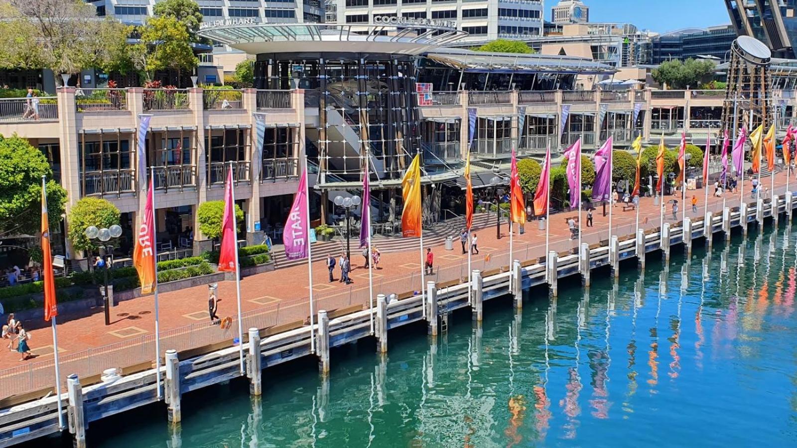 Spacious & Cosy 2 Bedroom Apartment in Darling Harbour