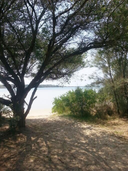 Wren's Nest at Culburra Beach