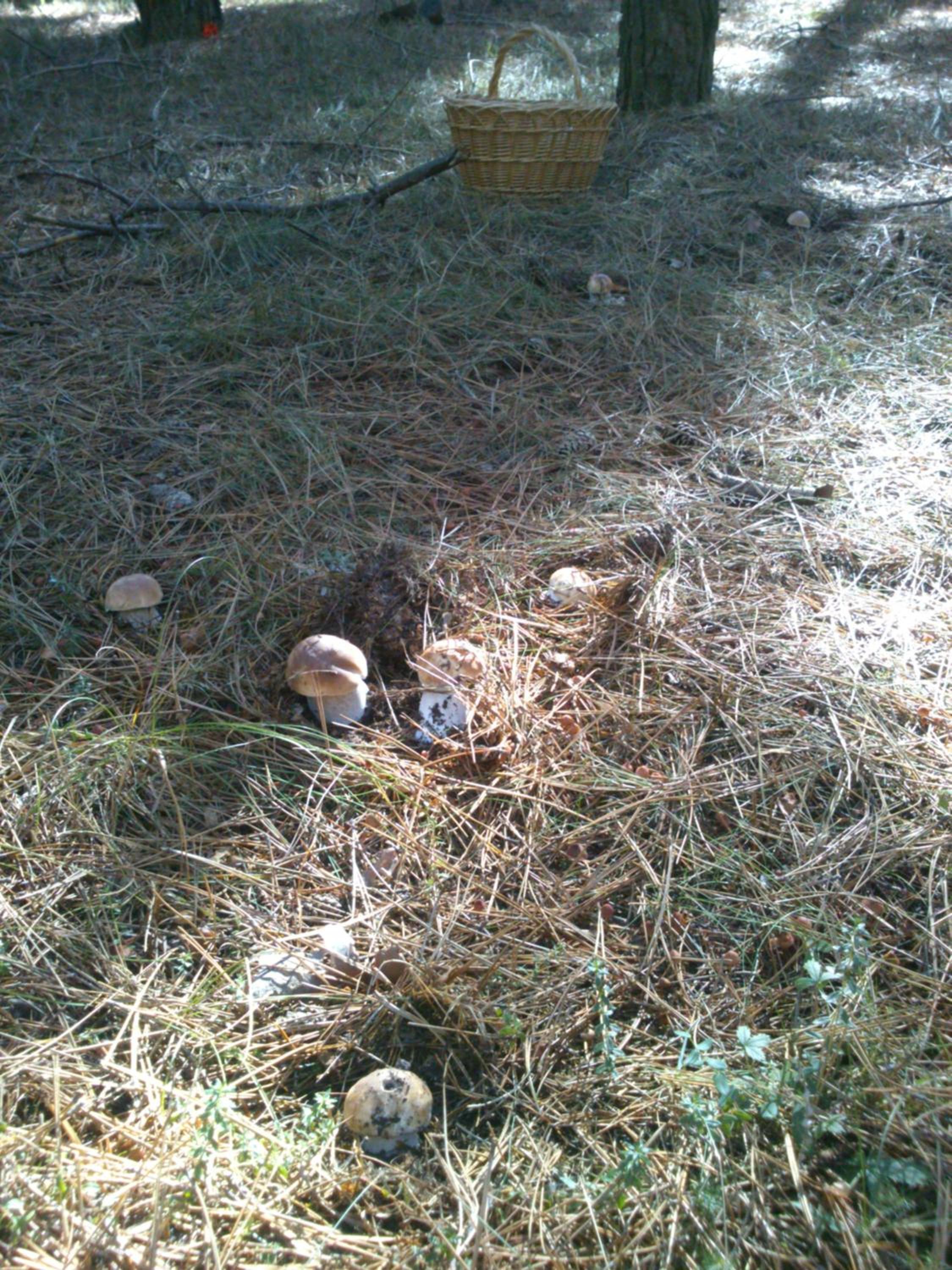 Photo 28