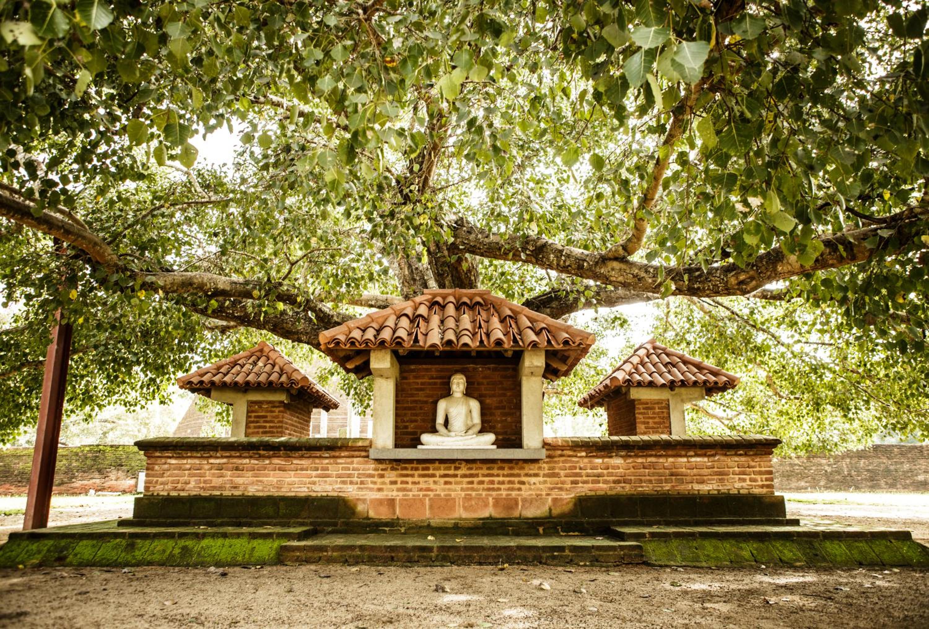 Thaulle Ayurveda Resort - Yala