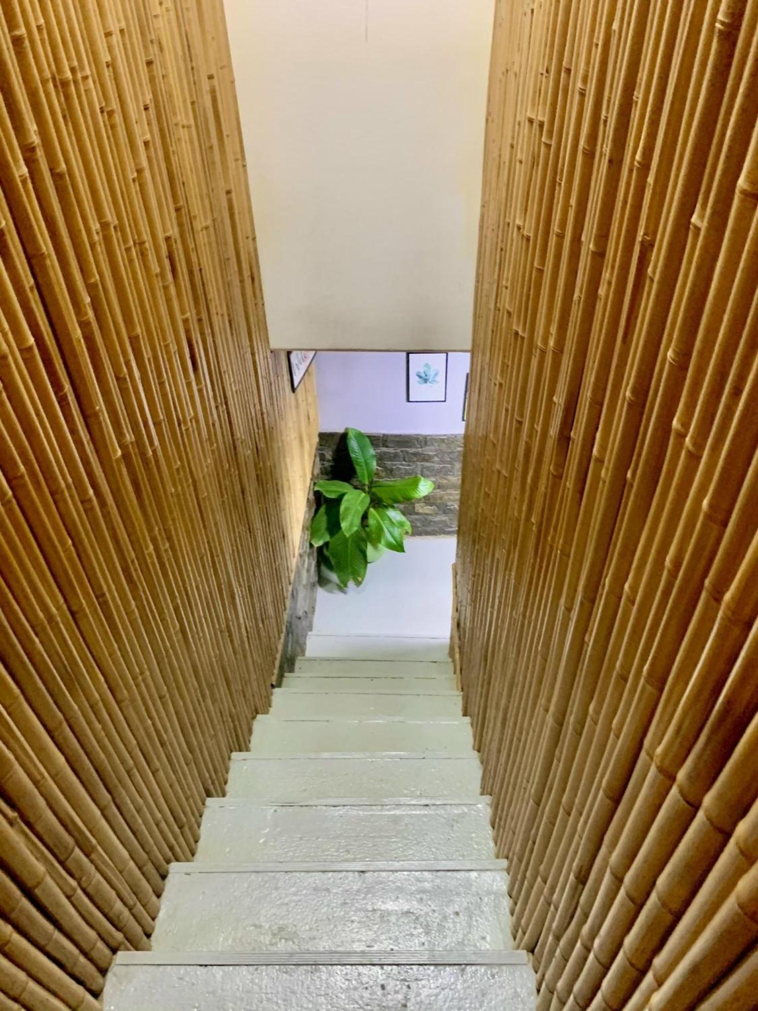 Te House view 4