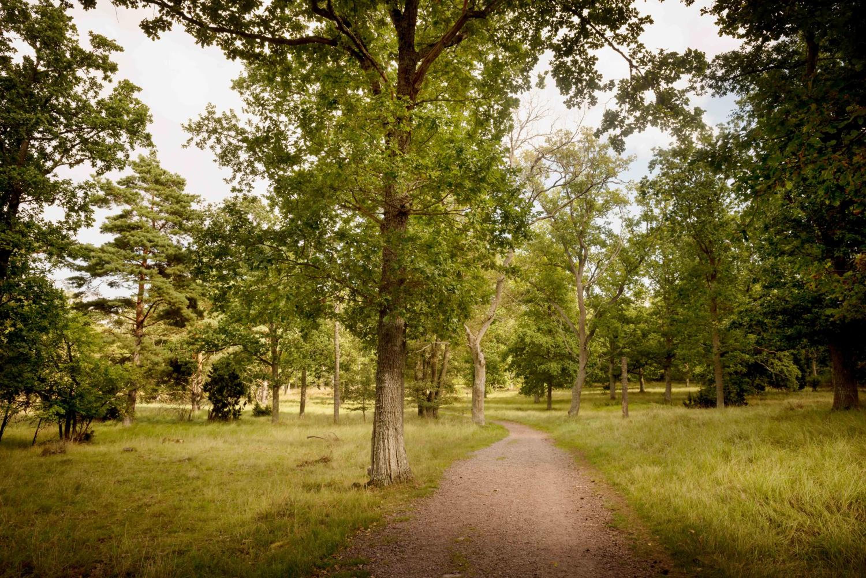 First Camp Stensö-Kalmar