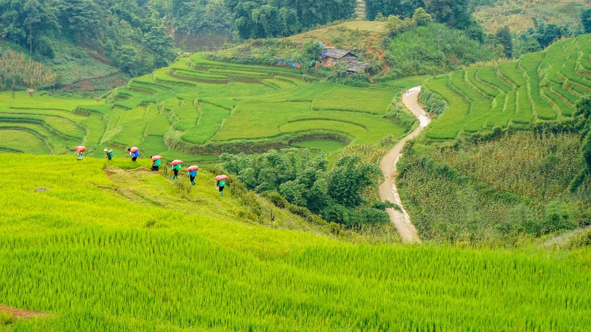 Sapa Fantasea Homestay view 2