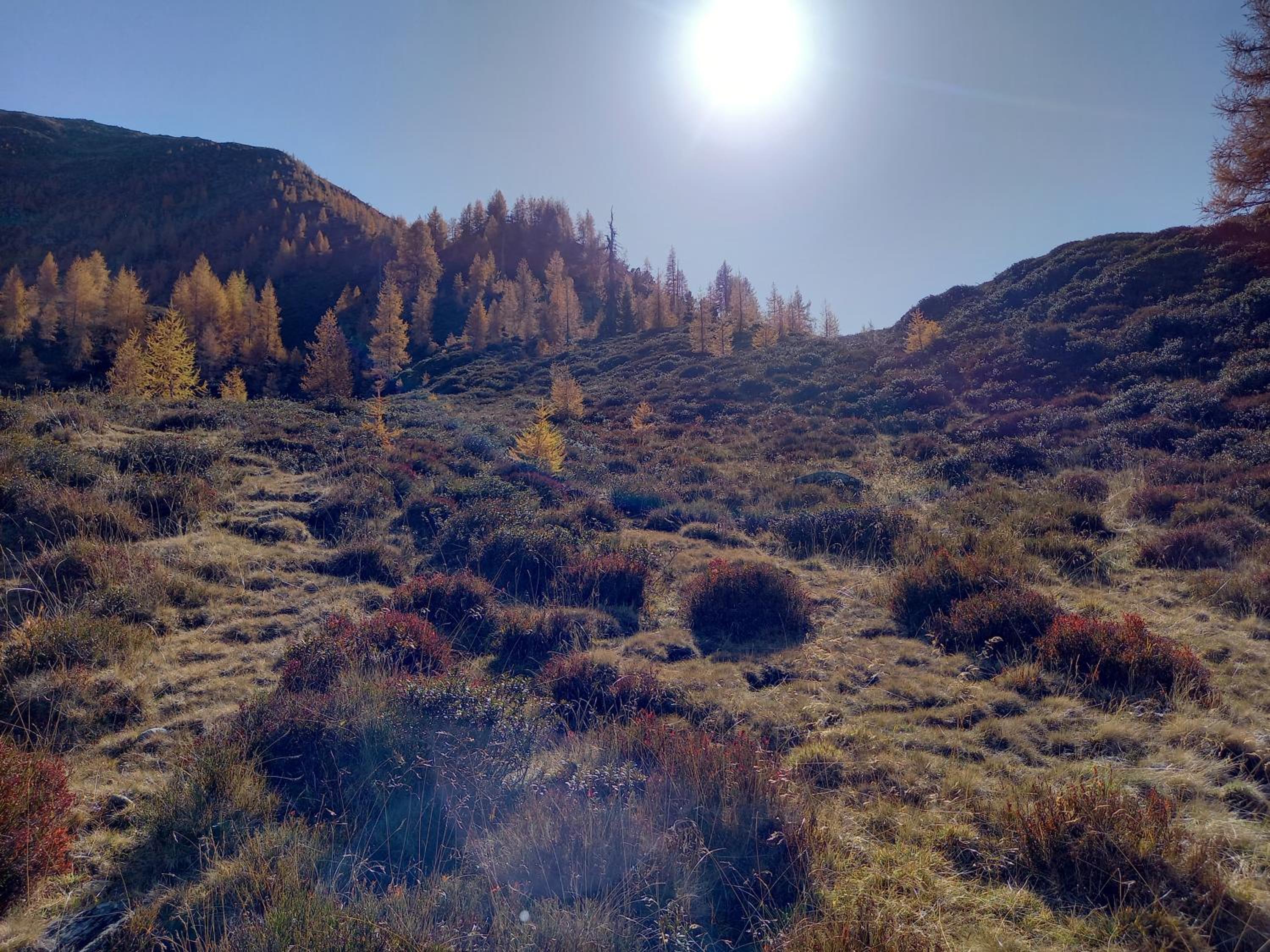 Nagelehof