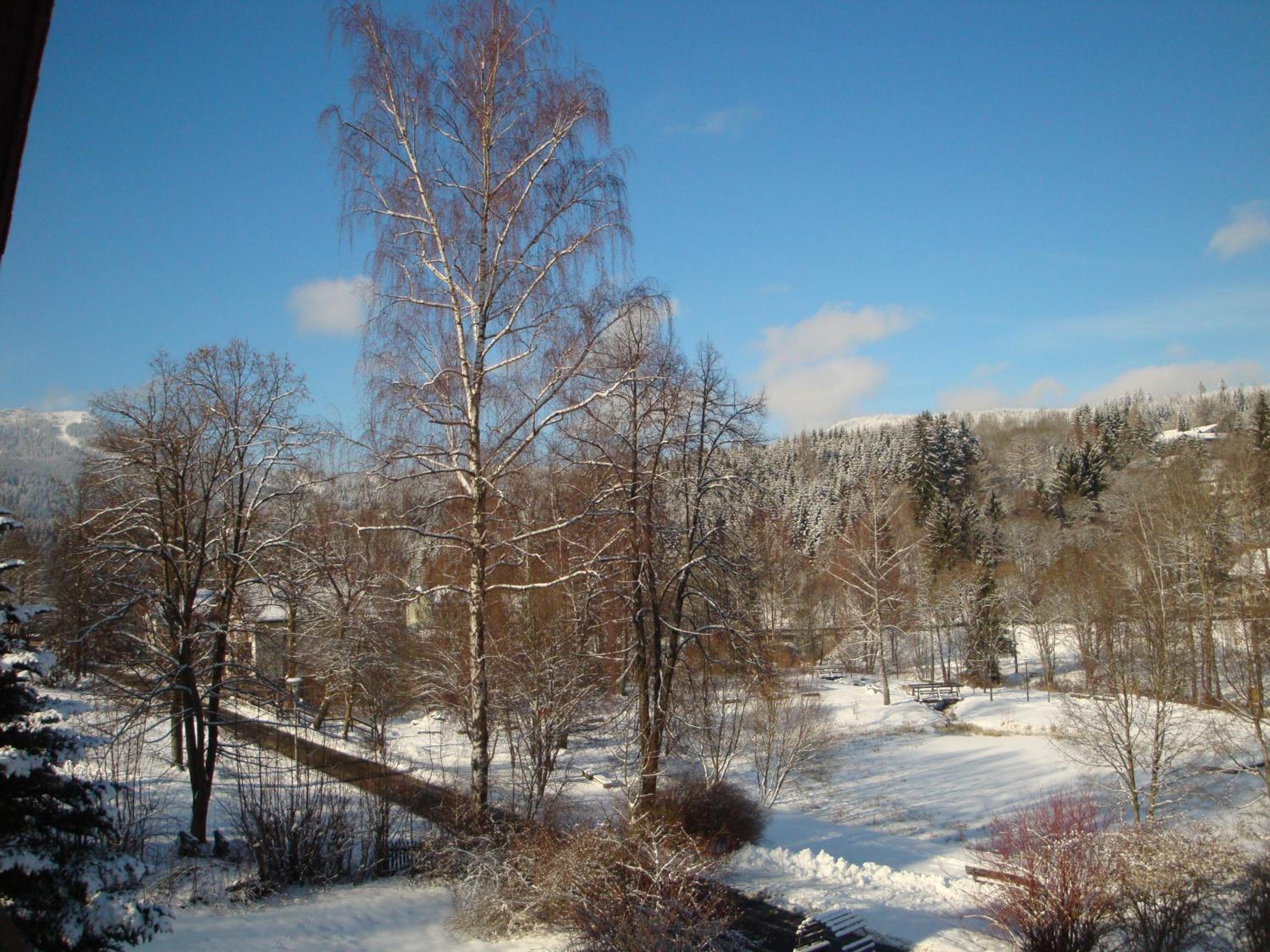 Photo 32
