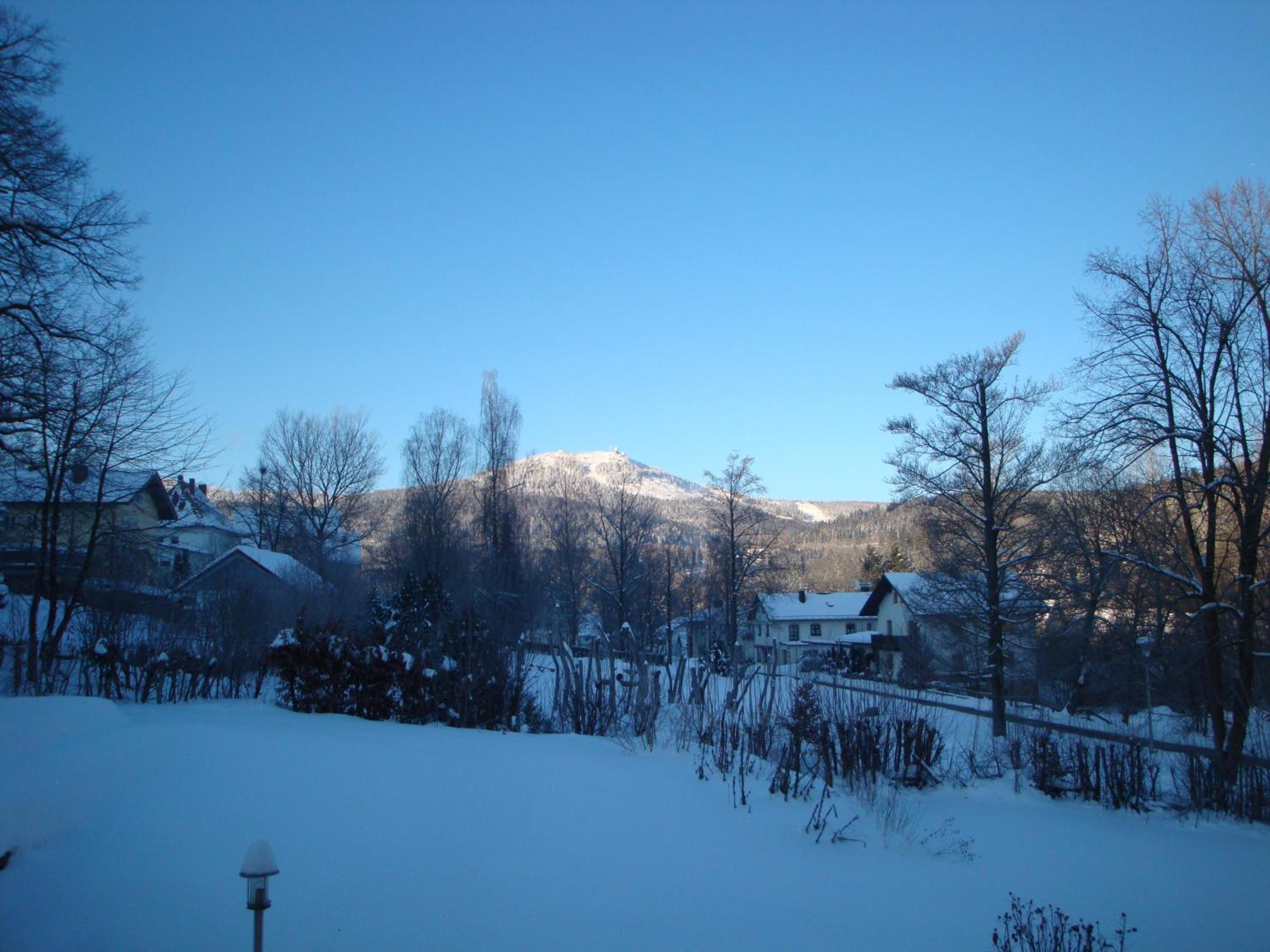 Photo 33