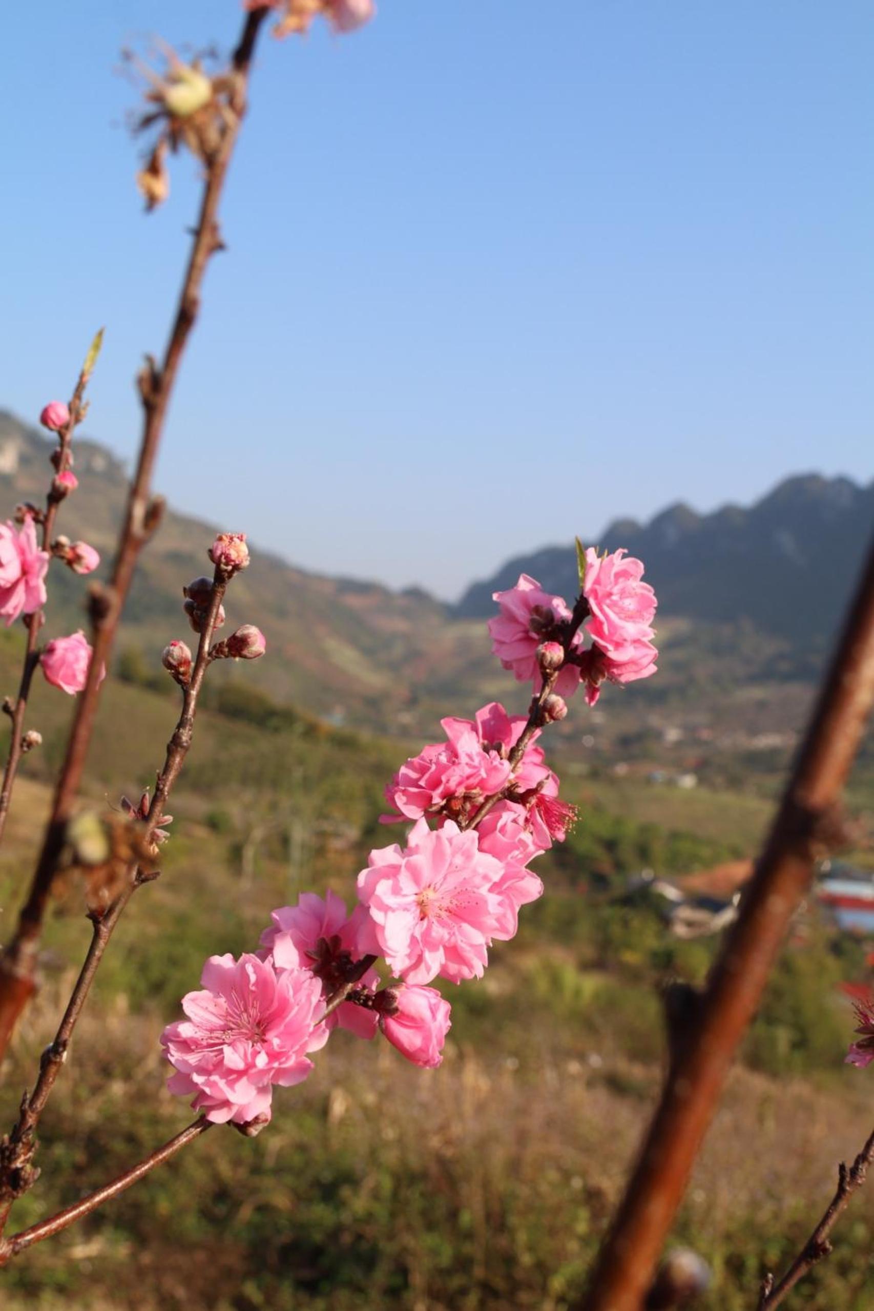 Mường sang farmstay