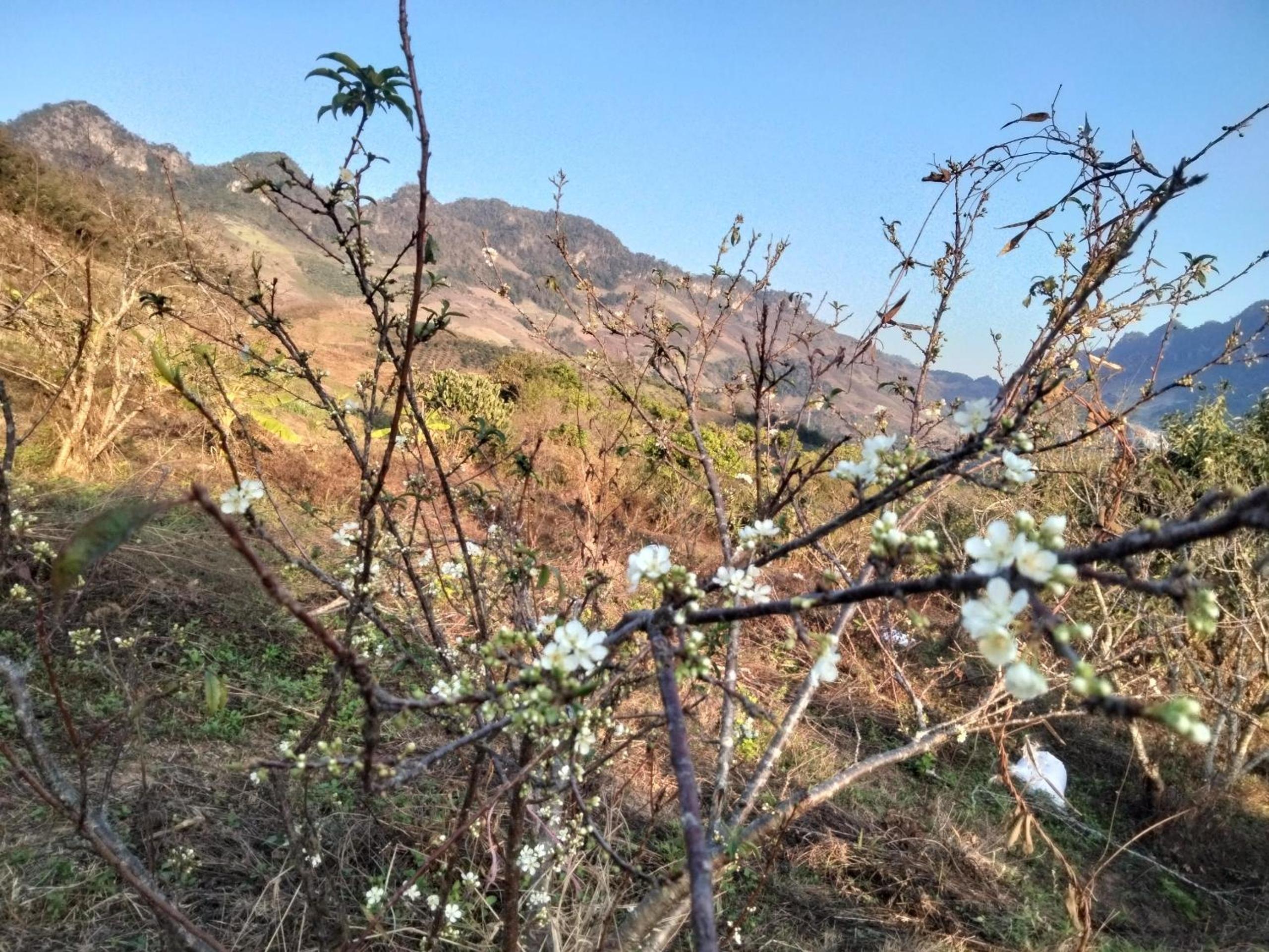 Mường sang farmstay