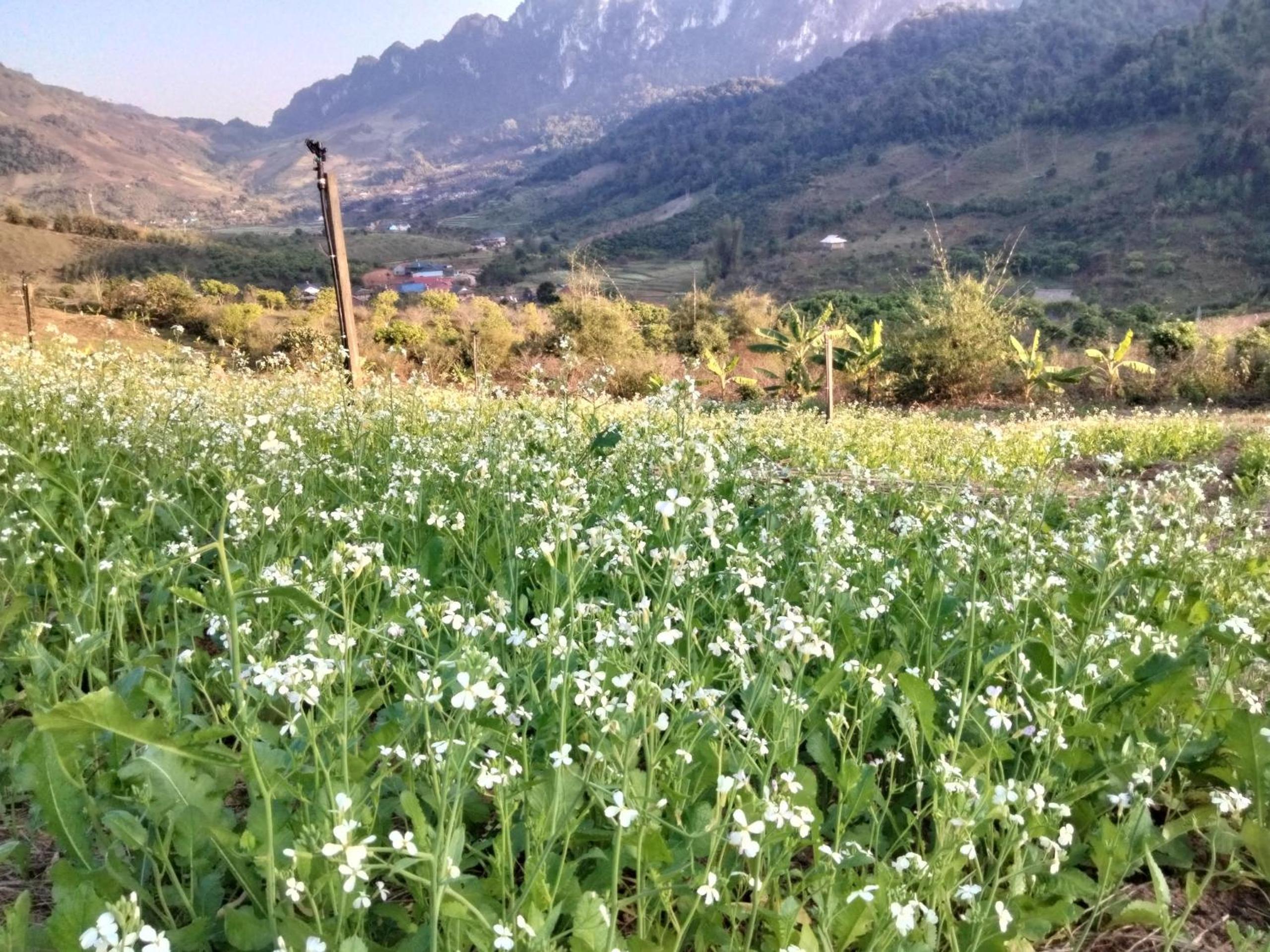 Mường sang farmstay