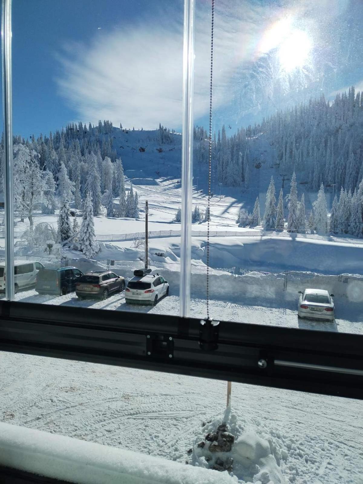 Apartman Jelen - Snežna Dolina