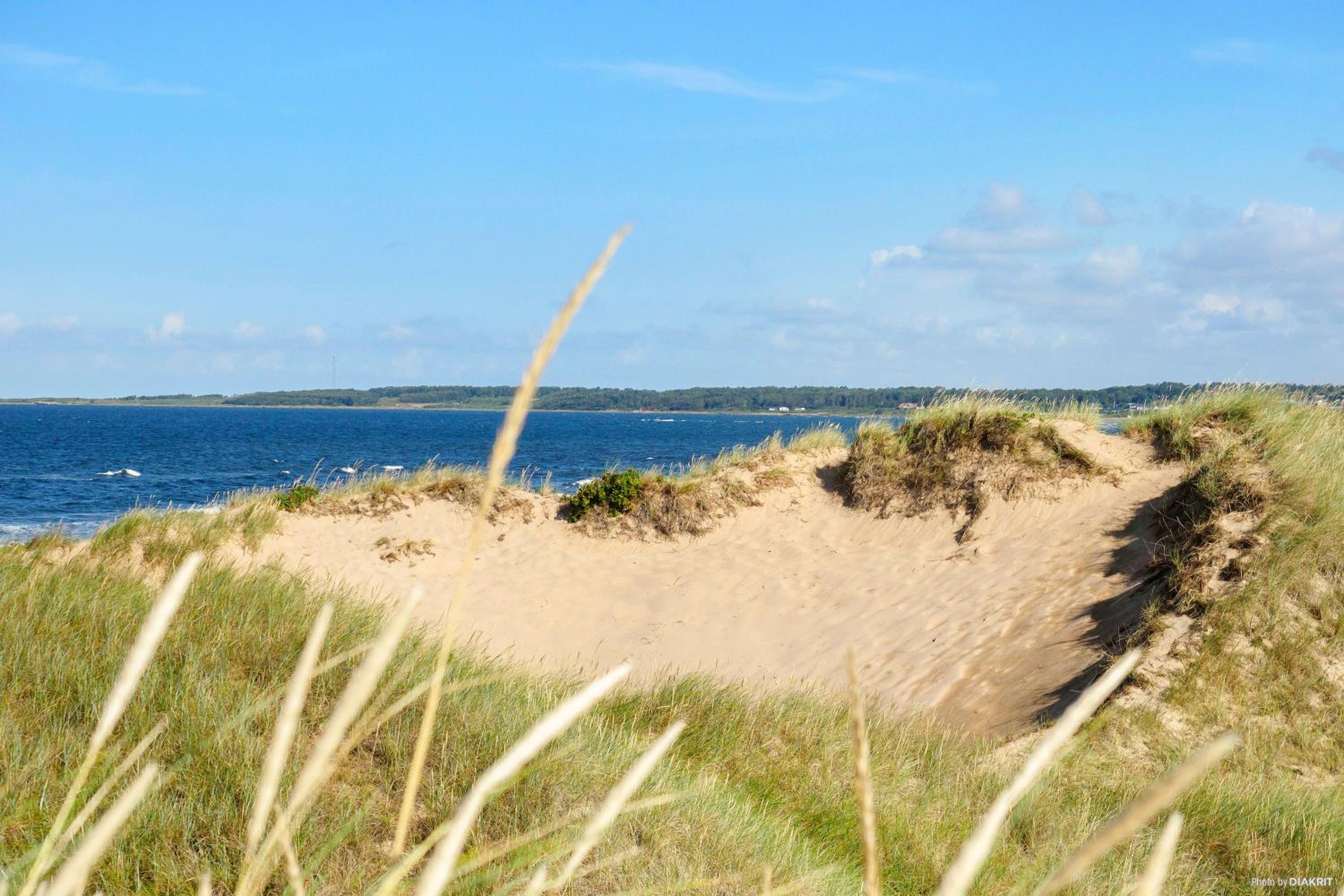 First Camp Tylösand-Halmstad