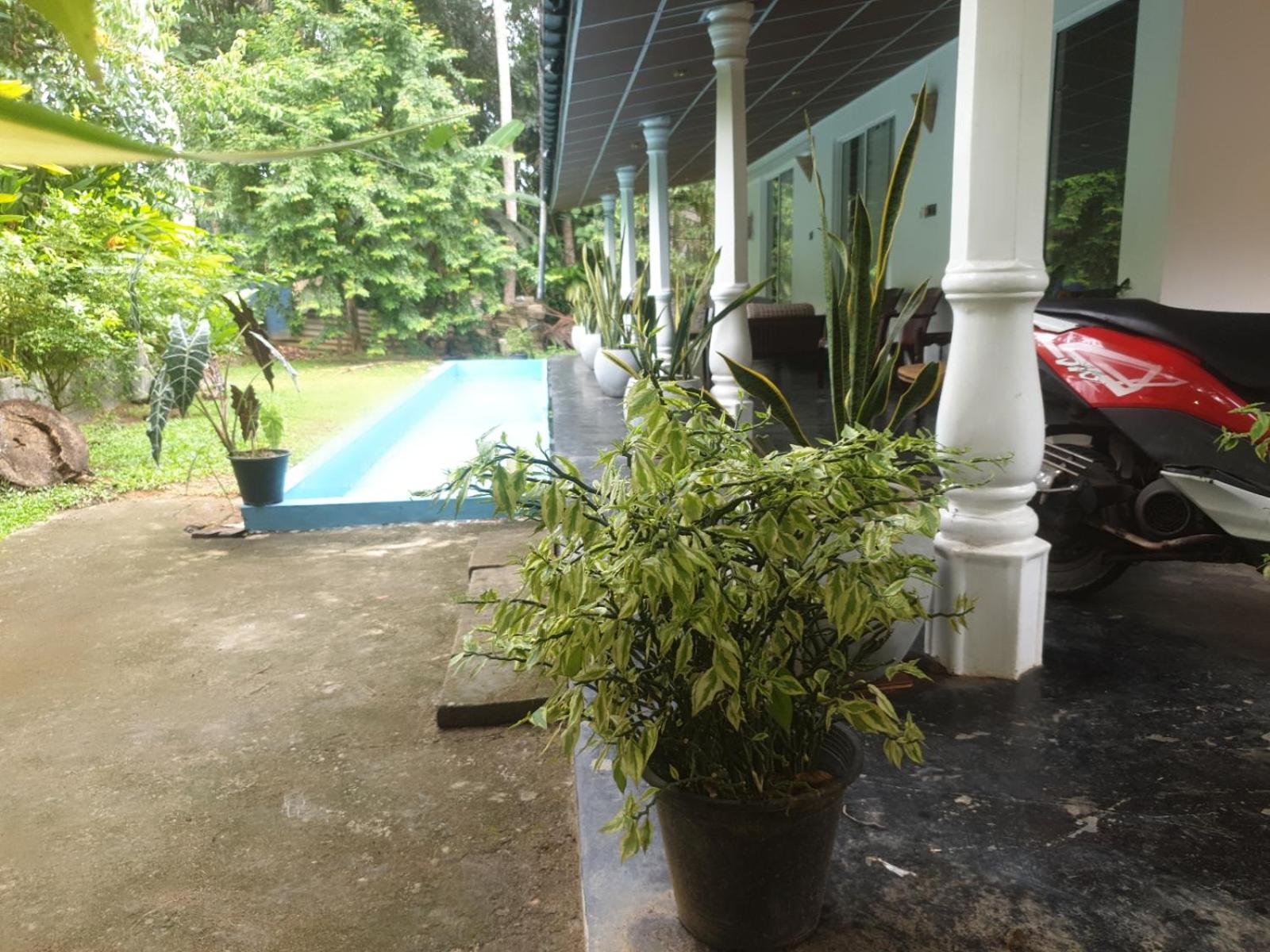 Photo 31