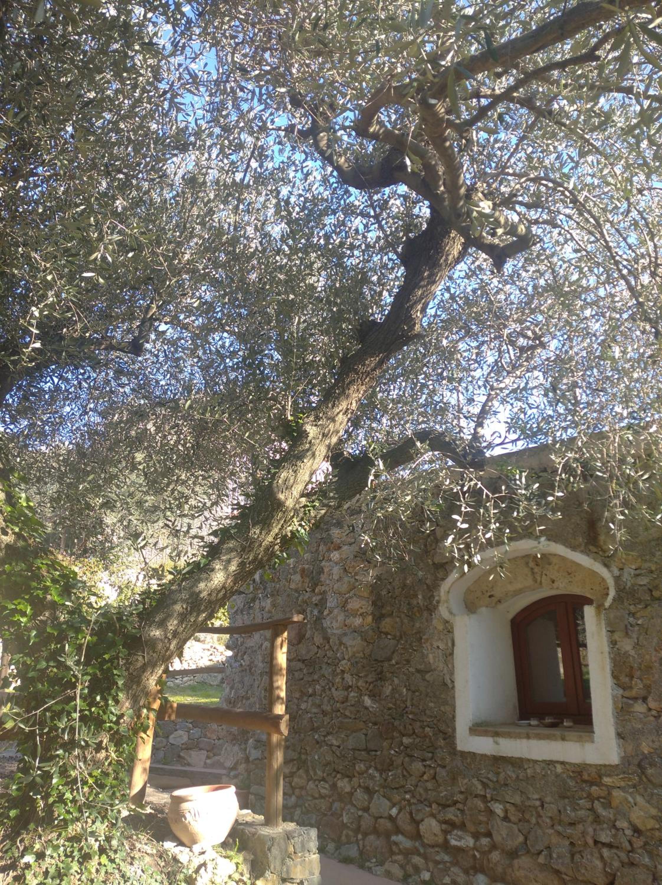 Photo 40
