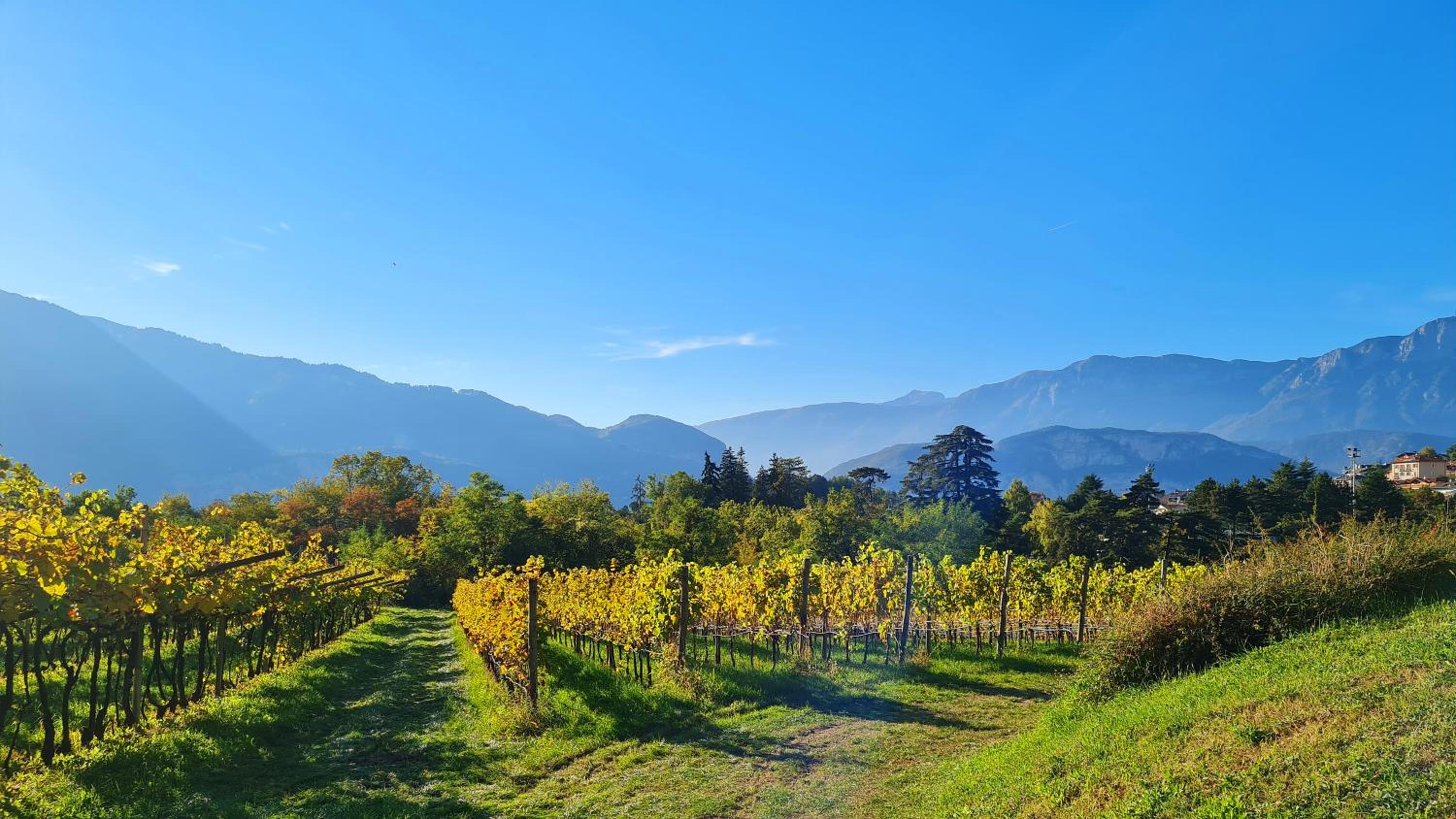 Agritur Ponte Alto