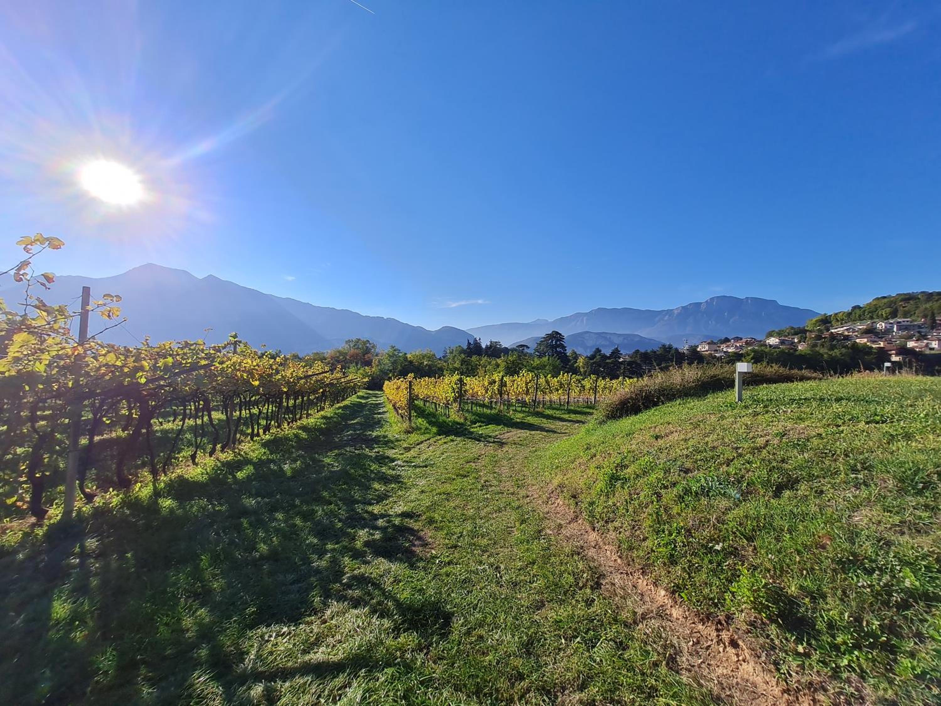 Agritur Ponte Alto