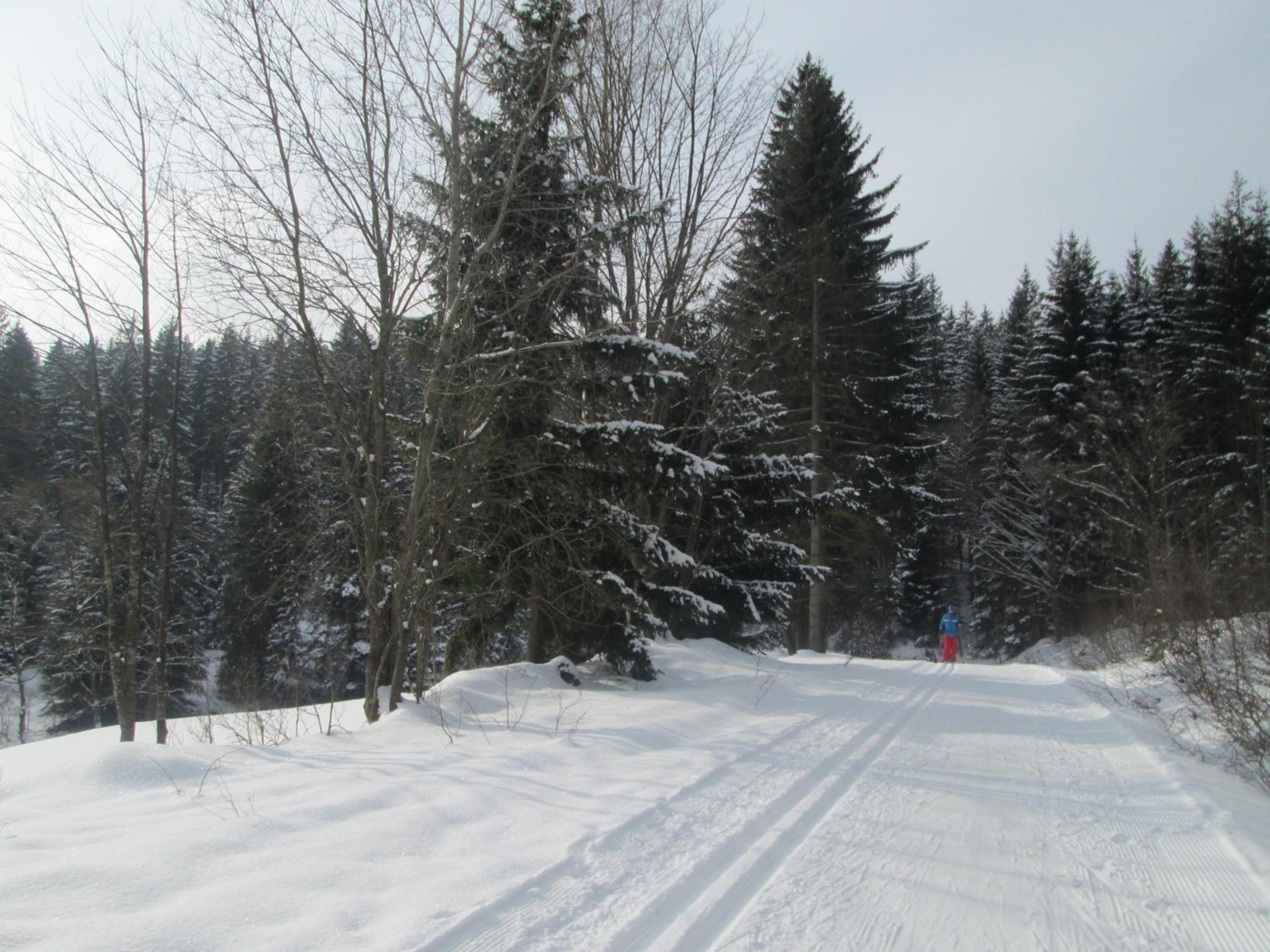 Photo 39
