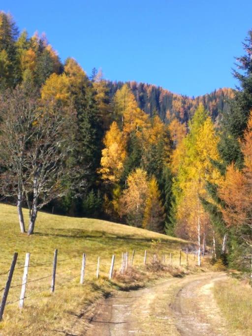 Droneberger-Hütte