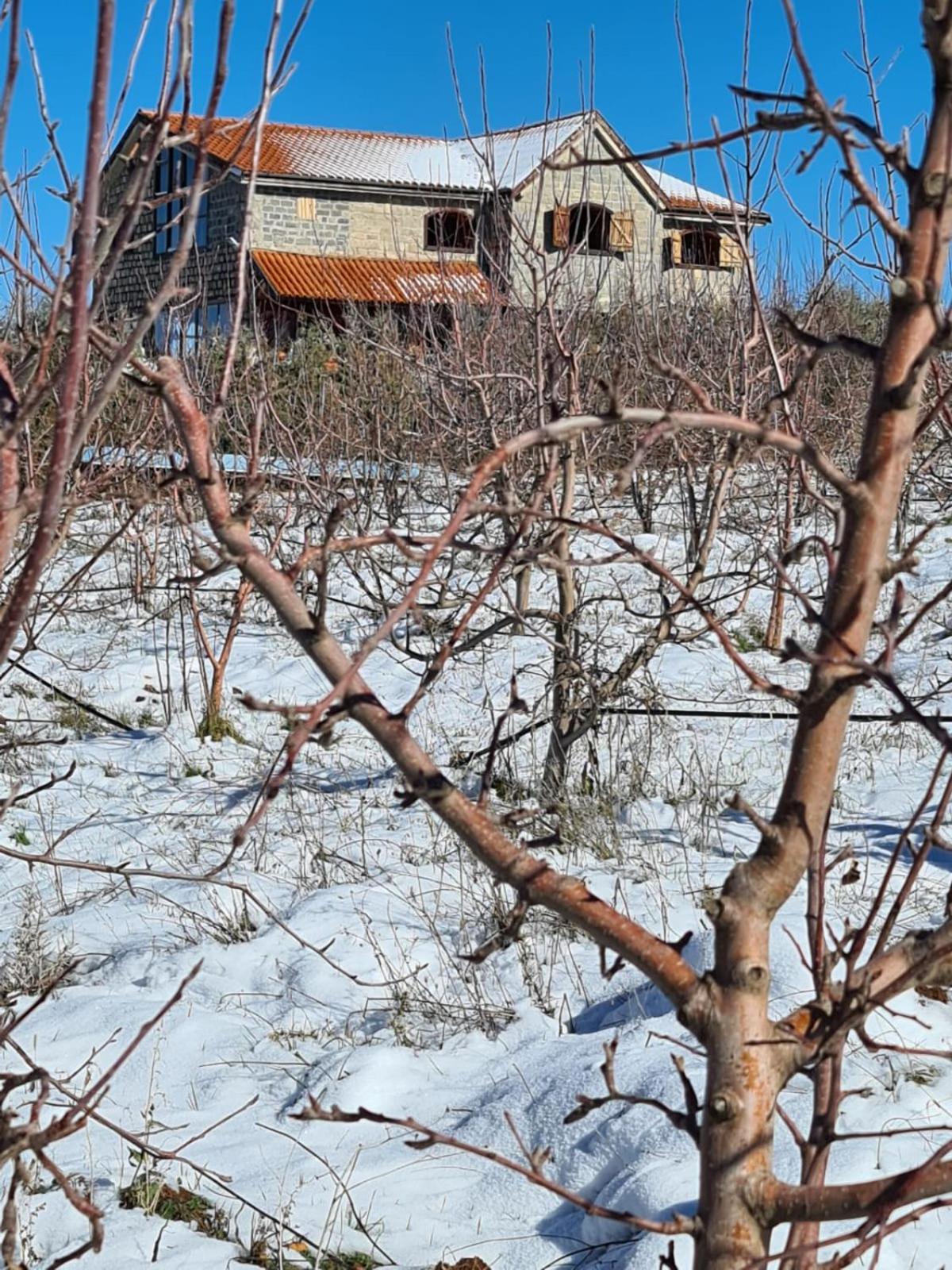 La pommeraie d'Ifrane view 3